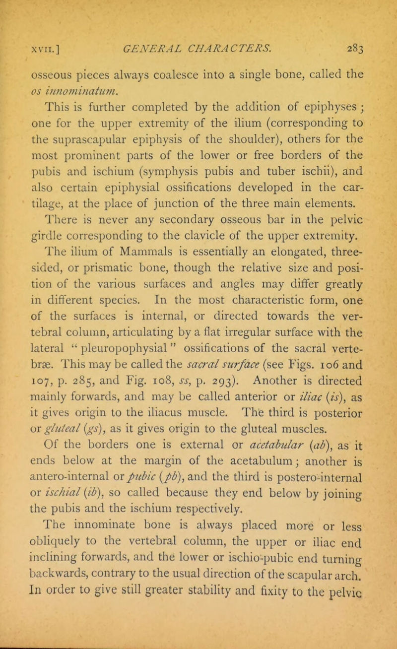 osseous pieces always coalesce into a single bone, called the OS hniomuiatum. This is further completed by the addition of epiphyses ; one for the upper extremity of the ilium (corresponding to the suprascapular epiphysis of the shoulder), others for the most prominent parts of the lower or free borders of the pubis and ischium (symphysis pubis and tuber ischii), and also certain epiphysial ossifications developed in the car- tilage, at the place of junction of the three main elements. There is never any secondary osseous bar in the pelvic girdle corresponding to the clavicle of the upper extremity. The ilium of Mammals is essentially an elongated, three- sided, or prismatic bone, though the relative size and posi- tion of the various surfaces and angles may differ greatly in different species. In the most characteristic form, one of the surfaces is internal, or directed towards the ver- tebral column, articulating by a flat irregular surface with the lateral  pleuropophysial ossifications of the sacral verte- brae. This may be called the sacral surface (see Figs. 106 and 107, p. 285, and Fig. 108, ss, p. 293). Another is directed mainly forwards, and may be called anterior or iliac (is), as it gives origin to the iliacus muscle. The third is posterior ox gluteal (gs), as it gives origin to the gluteal muscles. Of the borders one is external or acetabular {ab), as it ends below at the margin of the acetabulum; another is antero-internal or pubic {pb), and the third is postero-internal or ischial {ib), so called because they end below by joining the pubis and the ischium respectively. The innominate bone is always placed more or less obliquely to the vertebral column, the upper or iliac end inclining forwards, and the lower or ischio-pubic end turning backwards, contrary to the usual direction of the scapular arch. In order to give still greater stability and fixity to the pelvic
