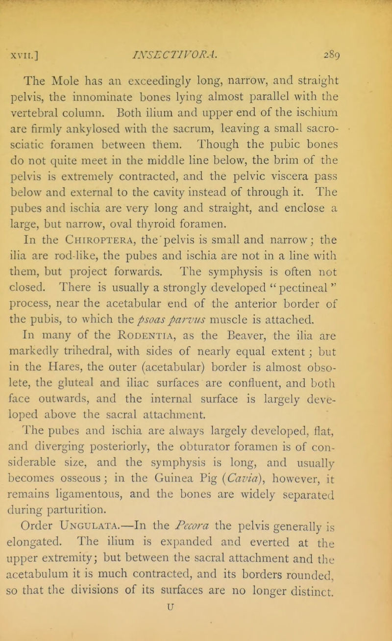 The Mole has an exceedingly long, narrow, and straight pelvis, the innominate bones lying almost parallel with the vertebral column. Both ilium and upper end of the ischium are firmly ankylosed with the sacrum, leaving a small sacro- sciatic foramen between them. Though the pubic bones do not quite meet in the middle line below, the brim of the pelvis is extremely contracted, and the pelvic viscera pass below and external to the cavity instead of through it. The pubes and ischia are very long and straight, and enclose a large, but narrow, oval thyroid foramen. In the Chiroptera, the'pelvis is small and narrow; the ilia are rod-like, the pubes and ischia are not in a line with them, but project forwards. The symphysis is often not closed. There is usually a strongly developed pectineal  process, near the acetabular end of the anterior border of the pubis, to which the psoas parvus muscle is attached. In many of the Rodentia, as the Beaver, the ilia are markedly trihedral, with sides of nearly equal extent \ but in the Hares, the outer (acetabular) border is almost obso- lete, the gluteal and iliac surfaces are confluent, and both face outwards, and the internal surface is largely deve- loped above the sacral attachment. The pubes and ischia are always largely developed, flat, and diverging posteriorly, the obturator foramen is of con- siderable size, and the symphysis is long, and usually becomes osseous; in the Guinea Pig (G^rvVz), however, it remains ligamentous, and the bones are widely separated during parturition. Order Ungulata.—In the Pccora the pelvis generally is elongated. The ilium is expanded and everted at the upper extremity; but between the sacral attachment and the acetabulum it is much contracted, and its borders rounded, so that the divisions of its surfaces are no longer distinct. u