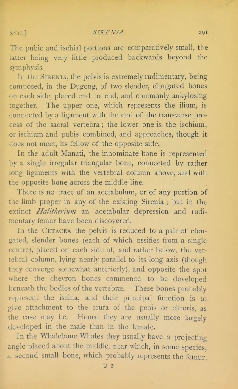The pubic and ischial portions are comparatively small, the latter being very little produced backwards beyond the symphysis. In the SiRENiA, the pelvis is extremely rudimentary, being composed, in the Dugong, of two slender, elongated bones on each side, placed end to end, and commonly ankylosing together. The upper one, which represents the ilium, is connected by a ligament with the end of the transverse pro- cess of the sacral vertebra; the lower one is the ischium, or ischium and pubis combined, and approaches, though it does not meet, its fellow of the opposite side. In the adult Manati, the innominate bone is represented by a single irregular triangular bone, connected by rather long ligaments with the vertebral column above, and with the opposite bone across the middle line. There is no trace of an acetabulum, or of any portion of the limb proper in any of the existing Sirenia ; but in the extinct Halitheriiim an acetabular depression and rudi- mentary femur have been discovered. In the Cetacea the pelvis is reduced to a pair of elon- gated, slender bones (each of which ossifies from a single centre), placed on each side of, and rather below, the ver- tebral column, lying nearly parallel to its long axis (though they converge somewhat anteriorly), and opposite the spot where the chevron bones commence to be developed beneath the bodies of the vertebrce. These bones probably represent the ischia, and their principal function is to Sfive attachment to the crura of the penis or clitoris, as the case may be. Hence they are usually more largely developed in the male than in the female. In the Whalebone Whales they usually have a projecting angle placed about the middle, near which, in some species, a second small bone, which probably represents the femur, u 2