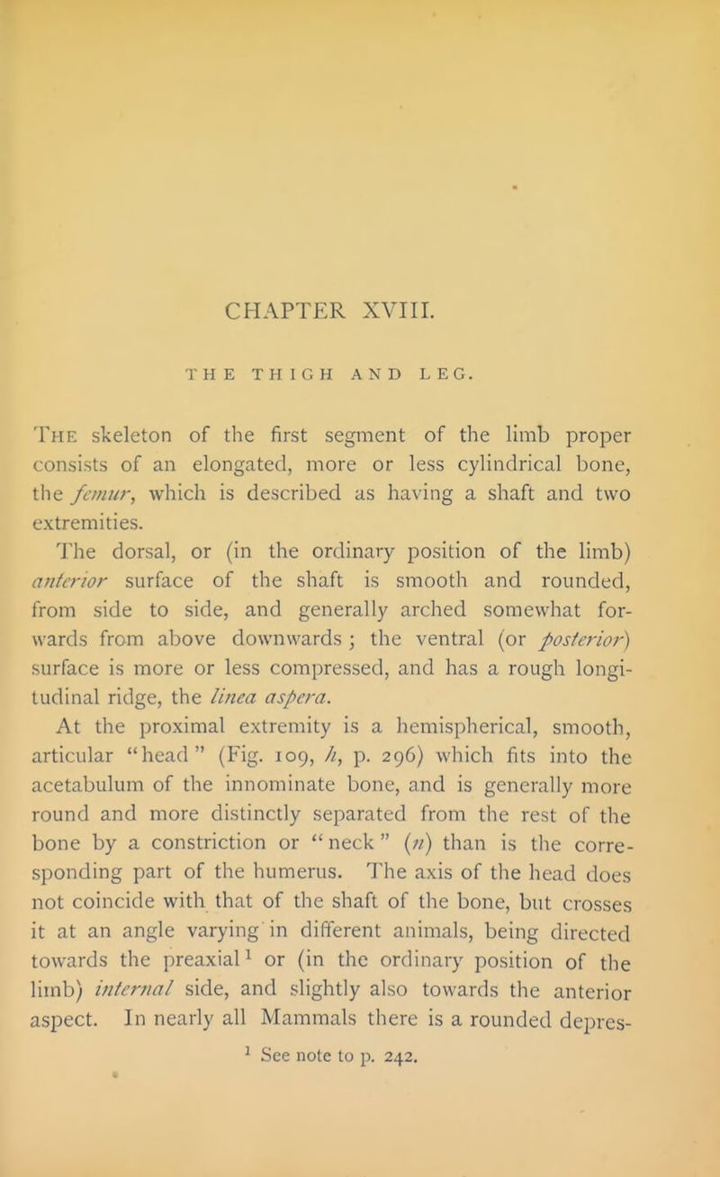 THE THIGH AND LEG. The skeleton of the first segment of the limb proper consists of an elongated, more or less cylindrical bone, the femur, which is described as having a shaft and two extremities. The dorsal, or (in the ordinary position of the limb) anterior surface of the shaft is smooth and rounded, from side to side, and generally arched somewhat for- wards from above downwards ; the ventral (or posterior) surface is more or less compressed, and has a rough longi- tudinal ridge, the Unea aspera. At the proximal extremity is a hemispherical, smooth, articular head (Fig. 109, //, p. 296) which fits into the acetabulum of the innominate bone, and is generally more round and more distinctly separated from the rest of the bone by a constriction or  neck  {n) than is the corre- sponding part of the humerus. The axis of the head does not coincide with that of the shaft of the bone, but crosses it at an angle varying in different animals, being directed towards the preaxiaP or (in the ordinary position of the limb) internal side, and slightly also towards the anterior aspect. In nearly all Mammals there is a rounded depres- ^ See note to p. 242.