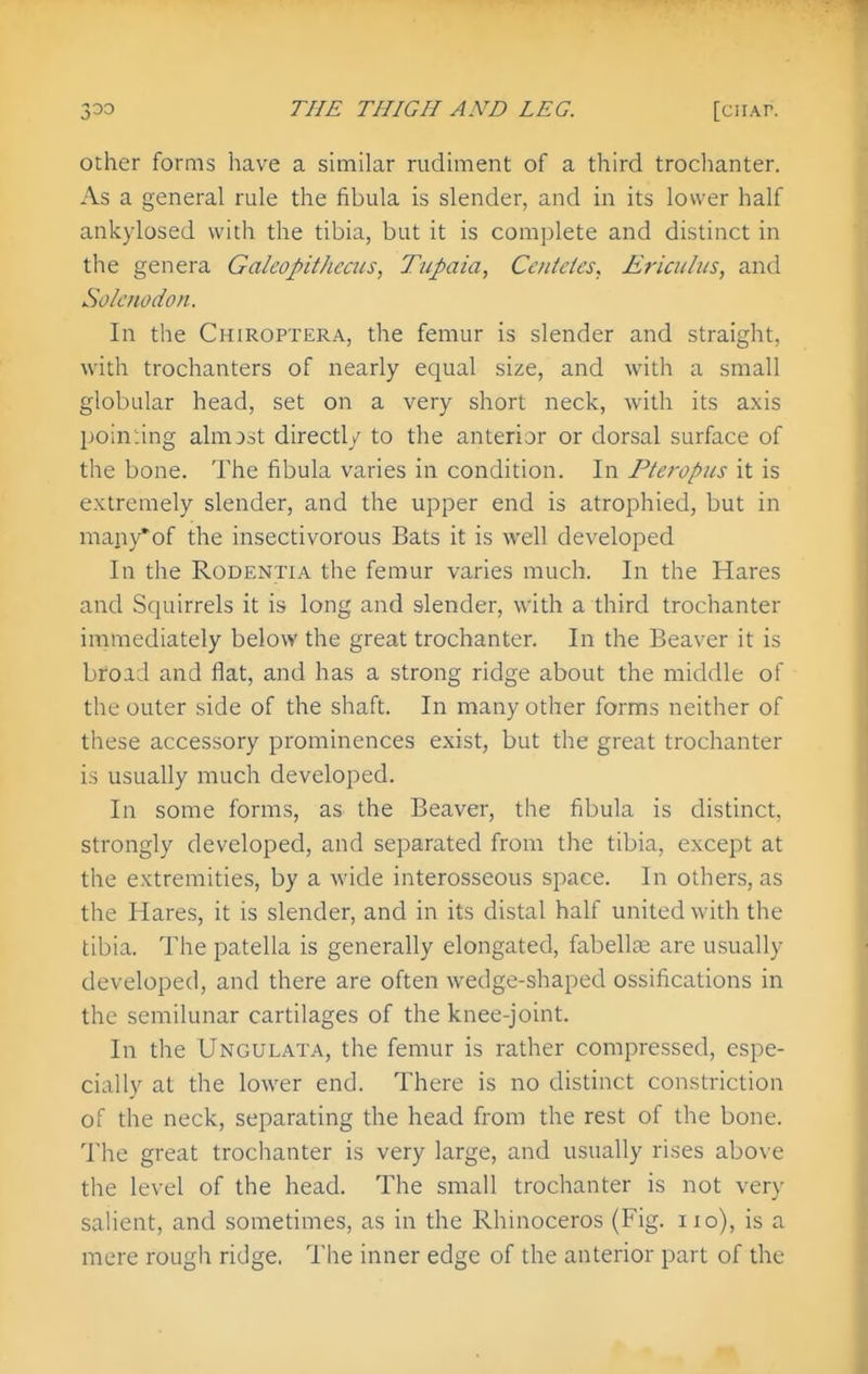 Other forms have a similar rudiment of a third trochanter. As a general rule the fibula is slender, and in its lower half ankylosed with the tibia, but it is complete and distinct in the genera GalcopitJiccus, Tupaia, Cenieies, Ericiilus, and Sol aw don. In the Chiroptera, the femur is slender and straight, with trochanters of nearly equal size, and with a small globular head, set on a very short neck, with its axis pointing almost directly to the anterior or dorsal surface of the bone. The fibula varies in condition. In Pteropus it is extremely slender, and the upper end is atrophied, but in many*of the insectivorous Bats it is well developed In the RoDENTiA the femur varies much. In the Hares and Squirrels it is long and slender, with a third trochanter immediately below the great trochanter. In the Beaver it is broad and flat, and has a strong ridge about the middle of the outer side of the shaft. In many other forms neither of these accessory prominences exist, but the great trochanter is usually much developed. In some forms, as the Beaver, the fibula is distinct, strongly developed, and separated from the tibia, except at the extremities, by a wide interosseous space. In others, as the Hares, it is slender, and in its distal half united with the tibia. The patella is generally elongated, fabells are usually developed, and there are often wedge-shaped ossifications in the semilunar cartilages of the knee-joint. In the Ungulata, the femur is rather compressed, espe- cially at the lower end. There is no distinct constriction of the neck, separating the head from the rest of the bone. The great trochanter is very large, and usually rises above the level of the head. The small trochanter is not very salient, and sometimes, as in the Rhinoceros (Fig. no), is a mere rough ridge. The inner edge of the anterior part of the