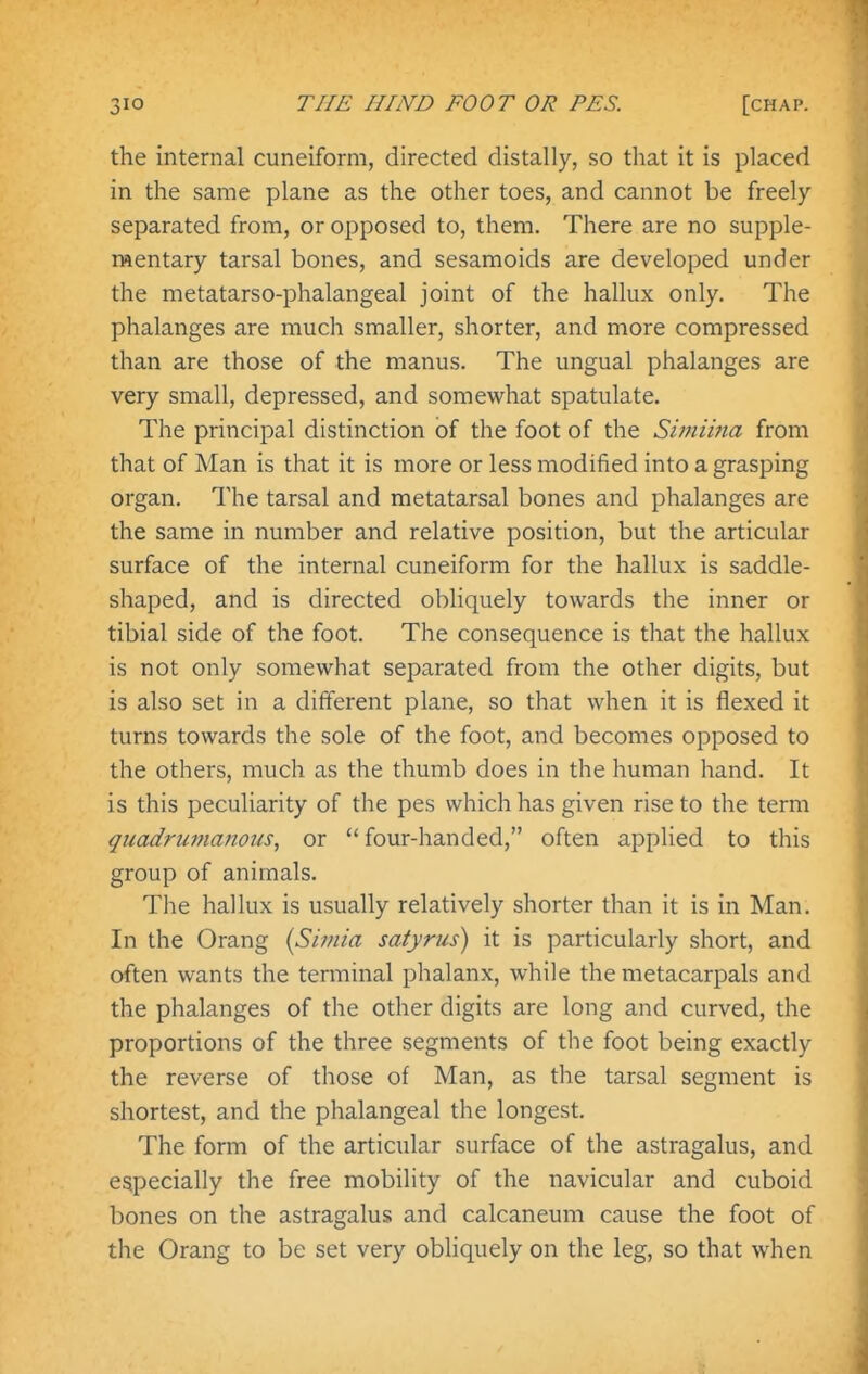 the internal cuneiform, directed distally, so that it is placed in the same plane as the other toes, and cannot be freely separated from, or opposed to, them. There are no supple- rftentary tarsal bones, and sesamoids are developed under the metatarso-phalangeal joint of the hallux only. The phalanges are much smaller, shorter, and more compressed than are those of the manus. The ungual phalanges are very small, depressed, and somewhat spatulate. The principal distinction of the foot of the Simiina from that of Man is that it is more or less modified into a grasping organ. The tarsal and metatarsal bones and phalanges are the same in number and relative position, but the articular surface of the internal cuneiform for the hallux is saddle- shaped, and is directed obliquely towards the inner or tibial side of the foot. The consequence is that the hallux is not only somewhat separated from the other digits, but is also set in a dilferent plane, so that when it is flexed it turns towards the sole of the foot, and becomes opposed to the others, much as the thumb does in the human hand. It is this peculiarity of the pes which has given rise to the term quadrumanous, or  four-handed, often applied to this group of animals. The hallux is usually relatively shorter than it is in Man. In the Orang [Shnia satyrus) it is particularly short, and often wants the terminal phalanx, while the metacarpals and the phalanges of the other digits are long and curved, the proportions of the three segments of the foot being exactly the reverse of those of Man, as the tarsal segment is shortest, and the phalangeal the longest. The form of the articular surface of the astragalus, and especially the free mobility of the navicular and cuboid bones on the astragalus and calcaneum cause the foot of the Orang to be set very obliquely on the leg, so that when