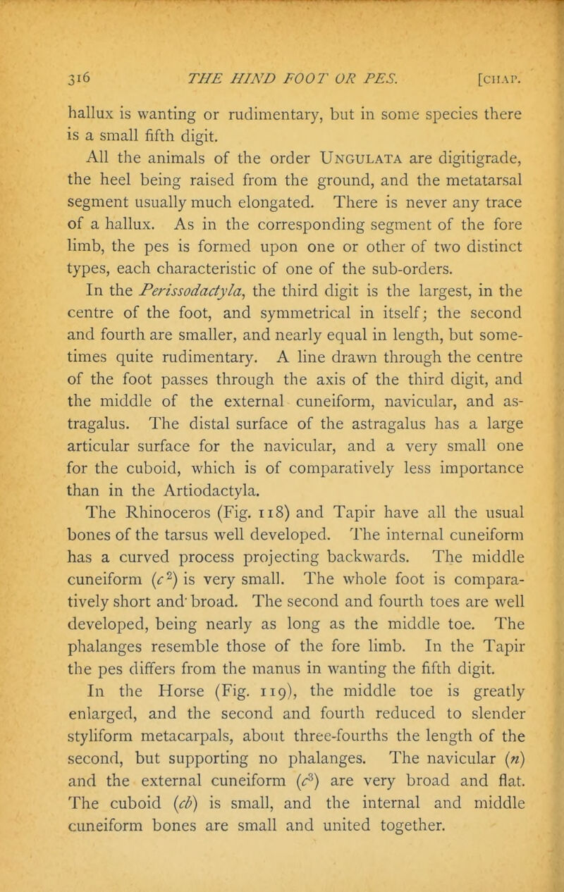 hallux is wanting or rudimentary, but in some species there is a small fifth digit. All the animals of the order Ungulata are digitigrade, the heel being raised from the ground, and the metatarsal segment usually much elongated. There is never any trace of a hallux. As in the corresponding segment of the fore limb, the pes is formed upon one or other of two distinct types, each characteristic of one of the sub-orders. In the Perissodadyla, the third digit is the largest, in the centre of the foot, and symmetrical in itself; the second and fourth are smaller, and nearly equal in length, but some- times quite rudimentary. A line drawn through the centre of the foot passes through the axis of the third digit, and the middle of the external cuneiform, navicular, and as- tragalus. The distal surface of the astragalus has a large articular surface for the navicular, and a very small one for the cuboid, which is of comparatively less importance than in the Artiodactyla. The Rhinoceros (Fig. ii8) and Tapir have all the usual bones of the tarsus well developed. The internal cuneiform has a curved process projecting backwards. The middle cuneiform (<r^) is very small. The whole foot is compara- tively short and' broad. The second and fourth toes are well developed, being nearly as long as the middle toe. The phalanges resemble those of the fore limb. In the Tapir the pes differs from the manus in wanting the fifth digit. In the Horse (Fig. 119), the middle toe is greatly enlarged, and the second and fourth reduced to slender styliform metacarpals, about three-fourths the length of the second, but supporting no phalanges. The navicular («) and the external cuneiform {fi) are very broad and flat. The cuboid {cV) is small, and the internal and middle cimeiform bones are small and united together.