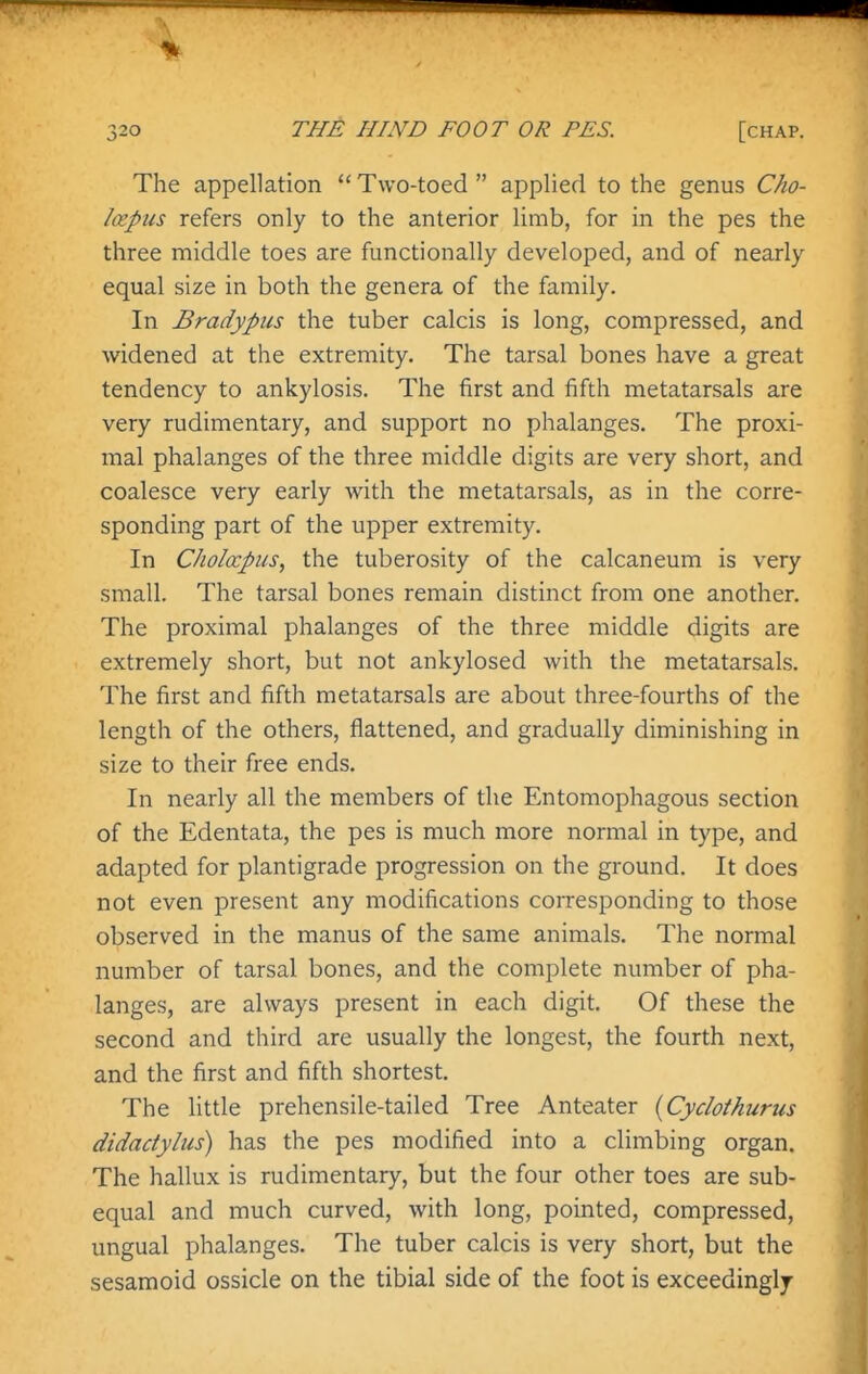 The appellation  Two-toed  applied to the genus Cho- loepus refers only to the anterior limb, for in the pes the three middle toes are functionally developed, and of nearly equal size in both the genera of the family. In Bradypus the tuber calcis is long, compressed, and widened at the extremity. The tarsal bones have a great tendency to ankylosis. The first and fifth metatarsals are very rudimentary, and support no phalanges. The proxi- mal phalanges of the three middle digits are very short, and coalesce very early with the metatarsals, as in the corre- sponding part of the upper extremity. In Cholocpus, the tuberosity of the calcaneum is very small. The tarsal bones remain distinct from one another. The proximal phalanges of the three middle digits are extremely short, but not ankylosed with the metatarsals. The first and fifth metatarsals are about three-fourths of the length of the others, flattened, and gradually diminishing in size to their free ends. In nearly all the members of the Entomophagous section of the Edentata, the pes is much more normal in type, and adapted for plantigrade progression on the ground. It does not even present any modifications corresponding to those observed in the manus of the same animals. The normal number of tarsal bones, and the complete number of pha- langes, are always present in each digit. Of these the second and third are usually the longest, the fourth next, and the first and fifth shortest. The little prehensile-tailed Tree Anteater {Cydothurus didadylus) has the pes modified into a climbing organ. The hallux is rudimentary, but the four other toes are sub- equal and much curved, with long, pointed, compressed, ungual phalanges. The tuber calcis is very short, but the sesamoid ossicle on the tibial side of the foot is exceedingly
