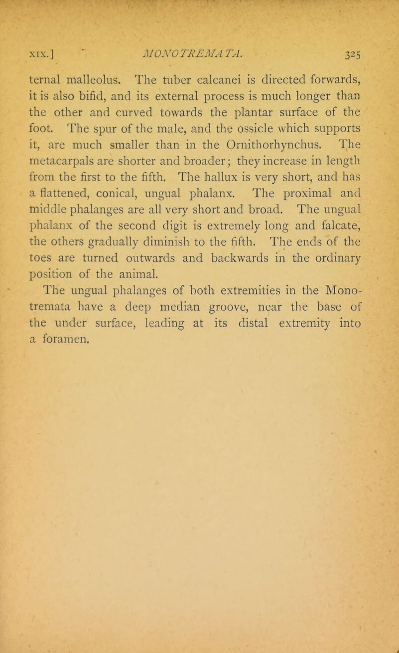 ternal malleolus. The tuber calcanei is directed forwards, it is also bifid, and its external process is much longer than the other and curved towards the plantar surface of the foot. The spur of the male, and the ossicle which supports it, are much smaller than in the Ornithorhynchus. The metacarpals are shorter and broader; they increase in lengtli from the first to the fifth. The hallux is very short, and has a flattened, conical, ungual phalanx. The proximal and middle phalanges are all very short and broad. The ungual phalanx of the second digit is extremely long and falcate, the others gradually diminish to the fifth. The ends of the toes are turned outwards and backwards in the ordinary l^osition of the animal. The ungual phalanges of both extremities in the Mono- tremata have a deep median groove, near the base of the under surface, leading at its distal extremity into a foramen.