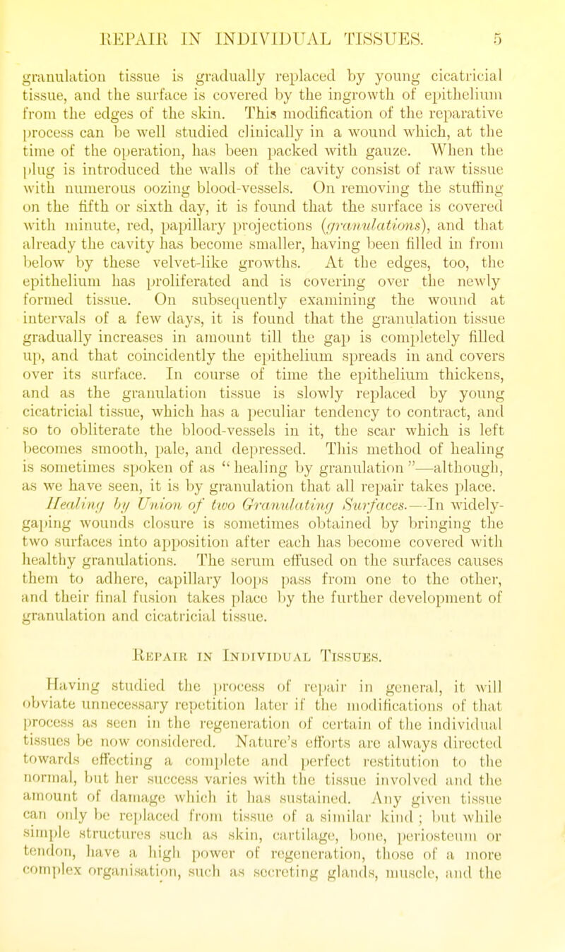 granulatiou tissue is gradually replaced by young cicatricial tissue, and the surface is covered by the ingrowth of epithelium from the edges of the skin. This modification of the reparative [)rocess can be well studied clinically in a wound which, at the time of the operation, has been packed with gauze. When the plug is introduced the walls of the cavity consist of raw tissue with numerous oozing blood-vessels. On removing the stuffing on the fifth or sixth day, it is found that the .surface is covered with minute, red, papillary projections {firanidations), and that already the cavity has become smaller, having been filled in from below by these velvet-like growths. At the edges, too, the epithelium has proliferated and is covering over the newly formed tissue. On subsequently examining the wound at intervals of a few days, it is found that the granulation tissue gradually increases in amount till the gap is completely filled up, and that coincidently the epithelium spreads in and covers over its .surface. In course of time the ei)ithelium thickens, and as the granulation tissue is slowly replaced by young cicatricial tis.sue, which has a peculiar tendency to contract, and so to obliterate the blood-vessels in it, the scar which is left becomes smooth, pale, and depressed. This method of healing is sometimes spoken of as  healing by granulation —although, as we have seen, it is by granulation that all repair takes place. llealimj hi/ Union of two Granulating Surfaces.—In widely- gaping wounds closure is sometimes obtained by bringing the two surfaces into a2:)position after each has become covered with liealtliy granulations. The serum effused on the surfaces causes them to adhere, capillary loops pass from one to the other, anfl their final fusion takes place by the further development of granulation and cicati'icial tissue. Repair in Indtvidual Tissues. Having studied the ])rocess of rejiair in general, it will obviate unneces.sary repetition later if the modifications of that process as seen in the I'egeneration of certain of the individual tissues be nfiw considered. Nature's efforts are always directed towards effecting a complete and perfect I'e.stitution to the normal, but her .success varies with the tissue involved and the amount of damage which it has sustained. Any given tissue can only be re]>laced from tissue of a similar kind ; but wliile simple structures such as skin, cartilage, bone, periosteum or tendon, have a high power of regeneration, those of a more complex organisation, such as secreting glands, muscle, and the