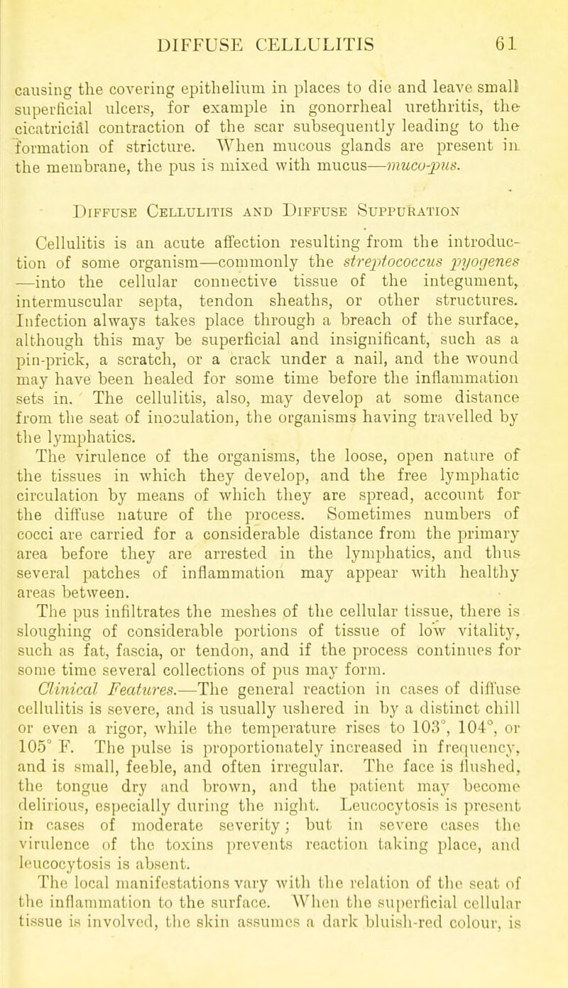 causing the covering epithelium in places to die and leave small superficial ulcers, for example in gonorrheal urethritis, the cicatricial contraction of the scar subsequently leading to the formation of stricture. When mucous glands are present in. the membrane, the pus is mixed with mucus—muco-pus. Diffuse Cellulitis and Diffuse Suppuration Cellulitis is an acute aflfection resulting from the introduc- tion of some organism—commonly the streptococcus 2^yoijenes —into the cellular connective tissue of the integument^ intermuscular septa, tendon sheaths, or other structures. Infection always takes place through a breach of the surface, although this may be superficial and insignificant, such as a pin-prick, a scratch, or a crack under a nail, and the wound may have been healed for some time before the inflammation sets in. The cellulitis, also, may develop at some distance from the seat of inosulation, the organisms having travelled by the lymphatics. The virulence of the organisms, the loose, open nature of the tissues in which they develop, and the free lymphatic circulation by means of which they are spread, account for the diffuse nature of the process. Sometimes numbers of cocci are carried for a considerable distance from the primary area before they are arrested in the lymphatics, and thus several patches of inflammation may appear with healthy areas between. The pus infiltrates the meshes of the cellular tissue, there is sloughing of considerable portions of tissue of low vitality, such as fat, fascia, or tendon, and if the process continues for some time several collections of pus may form. Clinical Featiores.—The general reaction in cases of difl'use cellulitis is severe, and is usually ushered in by a distinct chill or even a rigor, while the temperature rises to 103°, 104°, or 105° F. The pulse is proportionately increased in frequency, and is small, feeble, and often irregular. The face is flushed, the tongue dry and brown, and the patient may become delirious, especially during the night. Leucocytosis is present in eases of moderate severity; but in severe cases the virulence of the toxins prevents reaction taking place, and leucocytosis is absent. The local manifestations vary with the relation of the seat of the inflannnation to the surface. AVhen the superficial cellular tissue is involved, the skin assumes a dark bluish-red colour, is