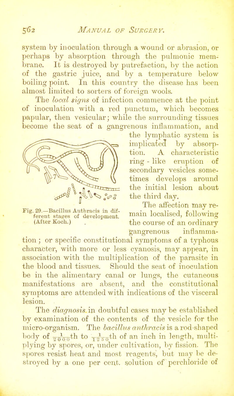 Manual OF Surgery. system by inoculation through a wound or abrasion, or perhaps by absorption through the puhnonic mem- brane. It is destroyed by putref;iction, by the action of the gastric juice, and by a temperature below- boiling point. In this country tlie disease has been almost limited to sorters of foreign wools. The local signs of infection commence at the point of inoculation with a red punctum, which becomes papular, then vesicular; while the surrounding tissues become the seat of a gangrenous inflammation, and the lymphatic system is implicaiecl by absorp- tion. A characteristic ring - like ertiption of secondary vesicles some- times develops around B^^fiiEJErtir the initial lesion about Jfl^^ >5 the third day. The afiection may re- Fig. 29.—Bacillus Anthraeis in dif- i„„„i' „j £„n • „ ferent sta-es of development. localised, followmg (After Koch.) . the course of an ordinary gangrenous inflamma- tion ; or specific constitutional .symptoms of a typhous character, with more or less cyanosis, may appear, in association with the multiplication of the parasite in the blood and tissues. Shovild the seat of inoculation be in the alimentary canal or lungs, the cutaneous manifestations are absent, and the constitutional symptoms are attended with indications of the visceral lesion. The diagnosis in doubtful cases may be established by examination of the contents of the vesicle for the micro-organism. The bacillus anthraeis is a rod-shaped body of o-^Vtt^^^ t^to*^^ '^^ inch in length, multi- plying by spores, or, under cultivation, by fission. The spores resist heat and most reagents', but may be de- stroyed by a one per cent, solution of i^crchloride of