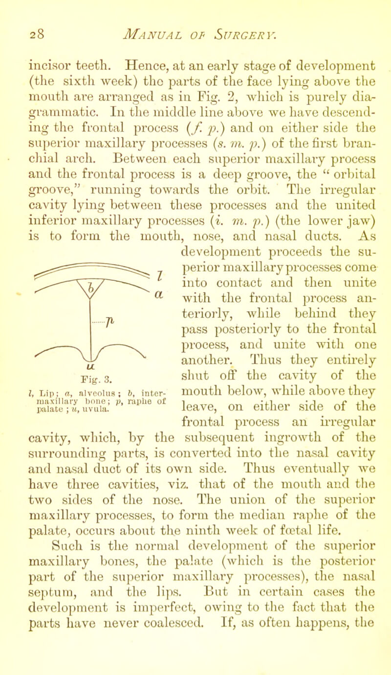 incisor teeth. Hence, at an early stage of development (the sixth week) the parts of the face lying above the mouth are arranged as in Fig. 2, which is purely dia- grammatic. In the middle line above we have descend- ing the frontal process (/! p.) and on either side the superior maxillary processes (s. m. p.) of the first bran- chial arch. Between each superior maxillaiy process and the frontal process is a deep groove, the  orbital groove, running towards the orbit. The irregular cavity lying between these processes and the united inferior maxillary processes {i. m. p.) (the lower jaw) is to form the mouth, nose, and nasal ducts. As I. Lipj a, aiveoiuB; 6, inter- mouth below, while above they cavity, which, by the subsequent ingrowth of the surrounding parts, is converted into the nasal cavity and nasal duct of its own side. Thus eventually we have three cavities, viz. that of the mouth and the two sides of the nose. The union of the superior maxillary processes, to form the median raphe of the palate, occurs about the ninth week of facial life. Such is the normal development of the superior maxillary bones, the palate (which is the postei-ior part of the superior maxillary pi'ocesses), the nasal septum, and the li]is. But in certain cases the development is imperfect, owing to the fact that the parts have never coalesced. If, as often happens, the rig. 3. u development proceeds the su- perior maxillary proce.sses come into contact and then unite with the frontal process an- terioi'ly, while behind they pass posteriorly to the frontal process, and unite with one another. Thus they entirely shut off the cavity of the maxillary bone; p, raplie of palate ; it, uvula. leave, on either side of the frontal process an ii'regular