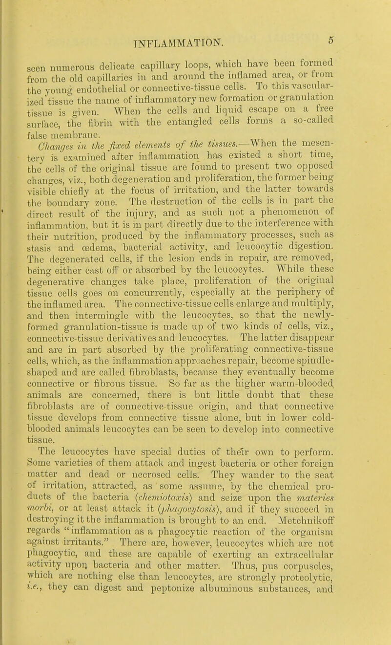 seen numerous delicate capillary loops, which have been formed from the old capillaries in and around the inflamed area, or from the young endothelial or connective-tissue cells. To this vascular- ized tissue the name of inflammatory new formation or granulation tissue is given. When the cells and liquid escape on a free surface, the Bbrin with the entangled cells forms a so-called false membrane. Changes in the fixed elements of the tissues.—When the mesen- tery is examined after inflammation has existed a short time, the cells of the original tissue are found to present two opposed chances, viz., both degeneration and proliferation, the former being visible chiefly at the focus of irritation, and the latter towards the boundary zone. The destruction of the cells is in part the direct result of the injury, and as such not a phenomenon of inflammation, but it is in part directly due to the interference with their nutrition, produced by the inflammatory processes, such as stasis and oedema, bacterial activity, and leucocytic digestion. The degenerated cells, if the lesion ends in repair, are removed, being either cast off or absorbed by the leucocytes. While these degenerative changes take place, proliferation of the original tissue cells goes on concurrently, especially at the periphery of the inflamed area. The connective-tissue cells enlarge and multiply, and then intermingle with the leucocytes, so that the newly- formed granulation-tissue is made up of two kinds of cells, viz., connective-tissue derivatives and leucocytes. The latter disappear and are in part absorbed by the proliferating connective-tissue cells, which, as the inflammation approaches repair, become spindle- shaped and are called fibroblasts, because they eventually become connective or fibrous tissue. So far as the higher warm-blooded animals are concerned, there is but little doubt that these fibroblasts are of connective-tissue origin, and that connective tissue develops from connective tissue alone, but in lower cold- blooded animals leucocytes can be seen to develop into connective tissue. The leucocytes have special duties of their own to perform. Some varieties of them attack and ingest bacteria or other foreign matter and dead or necrosed cells. They wander to the seat of irritation, attracted, as some assume, by the chemical pro- ducts of the bacteria (chemiotaxis) and seize upon the materies morbi, or at least attack it (jjhagocytosis), and if they succeed in destroying it the inflammation is brought to an end. Mctchnikoft' regards  inflammation as a phagocytic reaction of the organism against irritants. There are, however, leucocytes which are not phagocytic, and these are capable of exerting an extracellular activity upon bacteria and other matter. Thus, pus corpuscles, which are nothing else than leucocytes, are strongly proteolytic, i.e., they can digest and peptonize albuminous Bubstauces, and