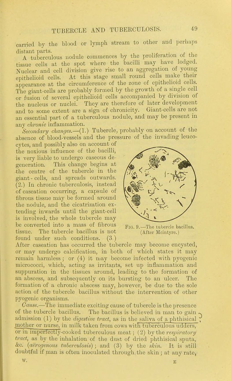 carried by the blood or lymph stream to other and perhaps distant parts. A tuberculous nodule commences by the proliferation ol the tissue cells at the spot where the bacilli may have lodged. Nuclear and cell division give rise to an aggregation of young epithelioid cells. At this stage small round cells make then- appearance at the circumference of the zone of epithelioid cells. The giant-cells are probably formed by the growth of a single cell or fusion of several epithelioid cells accompanied by division of the nucleus or nuclei. They are therefore of later development and to some extent are a sign of chronicity. Giant-cells are not an essential part of a tuberculous nodule, and may be present in any chronic inflammation. Secondary changes.—(1.) Tubercle, probably on account of the absence of blood-vessels and the pressure of the invading leuco- cytes, and possibly also on account of the noxious influence of the bacilli, is very liable to undergo caseous de- generation. This change begins at the centre of the tubercle in the giant - cells, and spreads outwards. (2.) In chronic tuberculosis, instead of caseation occurring, a capsule of fibrous tissue may be formed around the nodule, and the cicatrization ex- tending inwards until the giant-cell is involved, the whole tubercle may be converted into a mass of fibrous Fm 9._The^u7ercle bacillus, tissue. The tubercle bacillus is not (Aiter Mcintyre.) found under such conditions. (3.) After caseation has occurred the tubercle may become encysted, or may undergo calcification, in both of which states it may remain harmless ; or (4) it may become infected with pyogenic micrococci, which, acting as irritants, set up inflammation and suppuration in the tissues around, leading to the formation of an abscess, and subsequently on its bursting to an ulcer. The formation of a chrouic abscess may, however, be due to the sole action of the tubercle bacillus without the intervention of other pyogenic organisms. Cause.—The immediate exciting cause of tubercle is the presence of the tubercle bacillus. The bacillus is believed in man to gain ^ admission (1) by the digestive tract, as in the saliva of a phthisical , mother or nurse, in milk taken from cows with tuberculous udders, or in imperfectly-cooked tuberculous meat; (2) by the respiratory tract, as by the inhalation of the dust of dried phthisical sputa. &c. (aerogenoits tuberculosis); and (3) by the skin. It is still doubtful if man is often inoculated through the skin; at any rate, W. Ti*