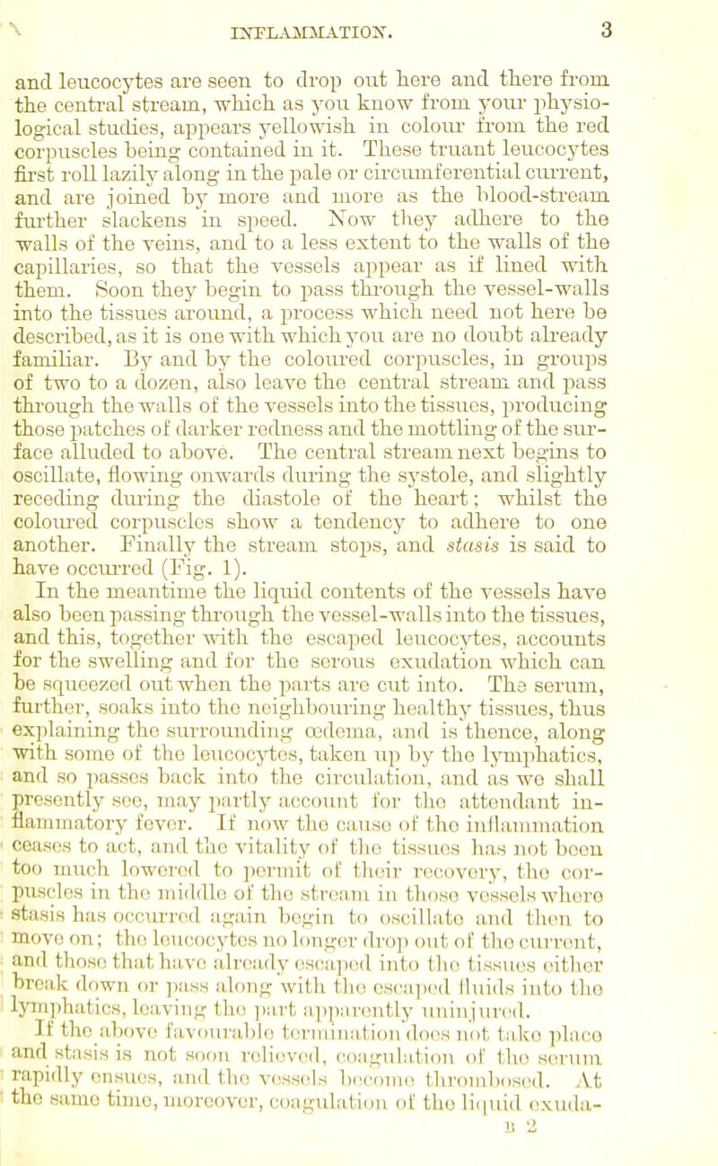 and leucocj'tes are seen to drop out here and tliere from the central stream, which as you know from your j-ihysio- logical studies, appears yellowish in colour from the red corpuscles being contained in it. These truant leucocytes first roll lazily along in the pale or circumferential current, and are joined by more and more as the blood-stream further slackens in speed. Now they adhere to the walls of the veins, and to a less extent to the walls of the capillaries, so that the vessels appear as if lined with them. Soon they begin to pass through the vessel-walls into the tissues around, a process which need not here be described, as it is one with which }'ou are no doubt already famihar. By and by the coloured corpuscles, in groups of two to a dozen, also leave the central stream and pass through the walls of the vessels into the tissues, j^roducing those patches of darker redness and the mottling of the sur- face alluded to above. The central stream next begins to oscillate, flowing onwards during the systole, and slightly receding dming the diastole of the heart; whiLst the colom-ed corpuscles show a tendency to adhere to one another. Finally the stream stops, and stasis is said to have occiu-red (Fig. 1). In the meantime the liquid contents of the vessels have also been passing through the vessel-walls into the tissues, and this, together with the escaped leucocytes, accounts for the swelling and for the serous exudation which can be squeezed out when the parts arc cut into. The serum, further, soaks into the neighbouring healthy tissues, thus explaining the surrounding oedema, and is thence, along with some of the leucocytes, taken up hy the lymphatics, and so passes back into the circulation, and as we shall presently see, may jinrtly account for the attendant in- flammatory fever. If now the cause of the iullaiumation ceases to act, and the vitality of the tissues has not boon too much lowered to permit of their recovery, the cor- puscles in the middle of the stream in those vessels where stasis has occurred again begin to oscillate and tlieu to move on; the leucocytes no longer droj) out of tlio current, and those that have alrciady oscajuid into tlio tissues either break down or ])ass along with the csi'ajx'd Huids into the lymphatics, leaving the jiart apparently uninjured. If the above favourable tormination does not take place and stasis is not soon relieved, coagulation of the seruna rapidly ensues, and the vessels b(H'omo thrombosed. At the same time, moreover, coagulation of the liipiid cxuda- B 2
