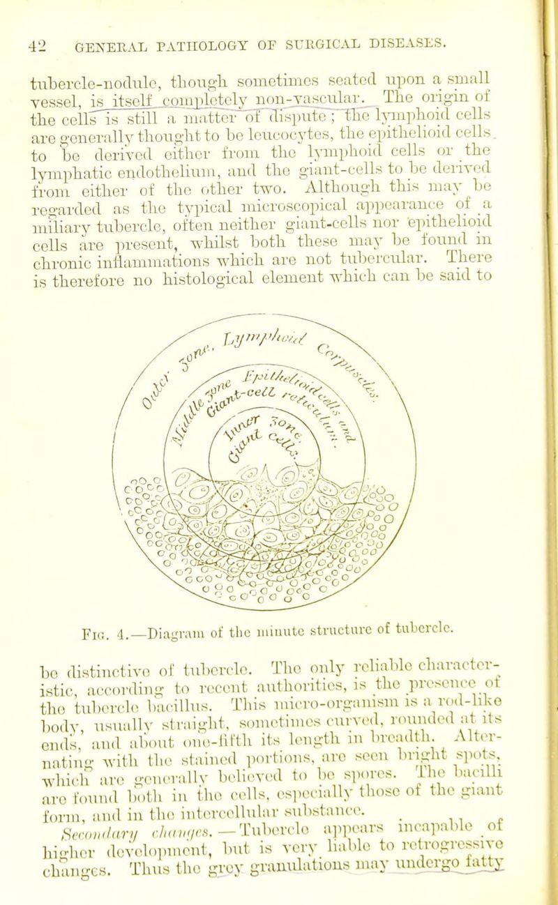 tiibercle-iiodiilc, thouo-li sometiuies seated upon a, suiall vessel, is itself _comj_)letcdy^ non-vascular^ The origin of the celliTis still a matter oFdisputo Hlic Ij-mphoid cells are generally thought to be leucocytes, the epithelioid cells. to be derived either from the lymphoid cells or the lymphatic endothelium, and the giant-cells to be derived from either of the other two. Although this may be regarded as the typical microscopical appearance of _a mfliary tubercle, often neither giant-cells nor -epithelioid cells are present, whilst both these may be found m chronic inflammations which are not tubercular. There is therefore no histological element which can be said to ■piG. 4. Diagram of the iiiiuule structure of tubevclc. he distinctivo of tubercle. The only rolialde character- istic, according to recent authorities, is the presence of the tubercle h'aciUus. This micro-organism is a rod-liko body, nsuallv straight, somctiines curved, rounded at^its cn.ls, and al)out oiio-liftli its length m breadth Alter- nating with the stained portions, arc seen bright spots, which are gcnerallv believed to bo spores, iho bucilla arc found both in the cells. es]>ecially those of the giant f(OTn, and in the intercellular substance. _ , , , 8ero>u/arv chuu;/,:,.-TnhovvXo appears^ incapable of higher de^cdopment, but is very liable to retrogressive chaii'-cs. Thus the grov granulations may undcrgojiittj: