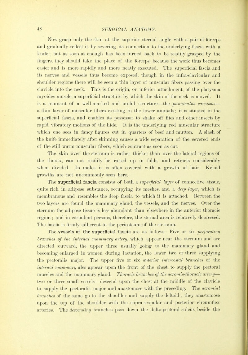 Now grasp only the skin at the superior sternal angle with a pair of forceps and gradually reflect it by severing its connection to the underlying fascia with a knife; but as soon as enough has been turned back to be readily grasped by the fingers, they should take the place of the forceps, because the work thus becomes easier and is more rapidly and more neatly executed. The superficial fascia and its nerves and vessels thus become exposed, though in the infra-clavicular and shoulder regions there will be seen a thin layer of muscular fibers passing over the clavicle into the neck. This is the origin, or inferior attachment, of the platysma myoides muscle, a superficial structure by which the skin of the neck is moved. It is a remnant of a well-marked and useful structure—the panniculus carnosus— a thin layer of muscular fibers existing in the lower animals; it is situated in the superficial fascia, and enables its possessor to shake off flies and other insects by rapid vibratory motions of the hide. It is the underlying red muscular structure which one sees in fancy figures cut in quarters of beef and mutton. A slash of the knife immediately after skinning causes a wide separation of the severed ends of the still warm muscular fibers, which contract as soon as cut. The skin over the sternum is rather thicker than over the lateral regions of the thorax, can not readily be raised up in folds, and retracts considerably Avhen divided. In males it is often covered with a growth of hair. Keloid growths are not uncommonly seen here. The superficial fascia consists of both a superficial layer of connective tissue, quite rich in adipose substance, occupying its meshes, and a deep layer, which is membranous and resembles the deep fascia to which it is attached. Between the two layers are found the mammary gland, the vessels, and the nerves. Over the sternum the adipose tissue is less abundant than elsewhere in the anterior thoracic region ; and in corpulent persons, therefore, the sternal area is relatively depressed. The fascia is firmly adherent to the periosteum of the sternum. The vessels of the superficial fascia are as follows: Five or six perforating branches of the internal mammary artery, which appear near the sternum and are directed outward, the upper three usually going to the mammary gland and becoming enlarged in women during lactation, the lower two or three supplying the pectoralis major. The upper five or six ariterior intercostal branches of the internal mammary also appear upon the front of the chest to supply the pectoral muscles and the mammary gland. Thoracic branches of the acromio-thoracic artery— two or three small vessels—descend upon the chest at the middle of the clavicle to supply the pectoralis major and anastomose with the preceding. The acromial branches of the same go to the shoulder and supply the deltoid; they anastomose upon the top of the shoulder witli the supra-scapular and posterior circumflex arteries. The descending branches pass down the delto-pectoral sulcus beside the