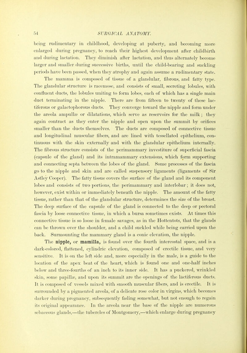 being rudimentary in childhood, developing at puberty, and becoming more enlarged during pregnancy, to reach their highest development after childbirth and during lactation. They diminish after lactation, and thus alternately become larger and smaller during successive births, until the child-bearing and suckling periods have been passed, when they atrophy and again assume a rudimentary state. The mamma is composed of tissue of a glandular, fibrous, and fatty type. The glandular structure is racemose, and consists of small, secreting lobules, with confluent ducts, the lobules uniting to form lobes, each of which has a single main duct terminating in the nipple. There are from fifteen to twenty of these lac- tiferous or galactophorous ducts. They converge toward the nipple and form under the areola ampullae or dilatations, which serve as reservoirs for the milk; they again contract as they enter the nipple and open upon the summit by orifices smaller than the ducts themselves. The ducts are composed of connective tissue and longitudinal muscular fibers, and are lined with tessellated epithelium, con- tinuous with the skin externally and with the glandular epithelium internally. The fibrous structure consists of the perimammary investiture of superficial fascia (capsule of the gland) and its intramammary extensions, which form supporting and connecting septa between the lobes of the gland. Some processes of the fascia go to the nipple and skin and are called suspensory ligaments (ligaments of Sir Astley Cooper). The fatty tissue covers the surface of the gland and its component lobes and consists of two portions, the perimammary and interlobar; it does not, however, exist within or immediately beneath the nipple. The amount of the fatty tissue, rather than that of the glandular structure, determines the size of the breast. The deep surface of the capsule of the gland is connected to the deep or pectoral fascia by loose connective tissue, in which a bursa sometimes exists. At times this connective tissue is so loose in female savages, as in the Hottentots, that the glands can be thrown over the shoulder, and a child suckled while being carried upon the back. Surmounting the mammary gland is a conic elevation, the nipple. The nipple, or mamilla, is found over the fourth intercostal space, and is a dark-colored, flattened, cylindric elevation, composed of erectile tissue, and very sensitive. It is on the left side and, more especially in the male, is a guide to the location of the apex beat of the heart, which is found one and one-half inches below and three-fourths of an inch to its inner side. It has a puckered, wrinkled skin, some papillte, and upon its summit are the openings of the lactiferous ducts. It is composed of vessels mixed with smooth muscular fibers, and is erectile. It is surrounded by a pigmented areola, of a delicate rose color in virgins, which becomes darker during pregnancy, subsequently fading somewhat, but not enough to regain its original appearance. In the areola near the base of the nipple are numerous sebaceous glands,—the tubercles of Montgomery,—which enlarge during pregnancy