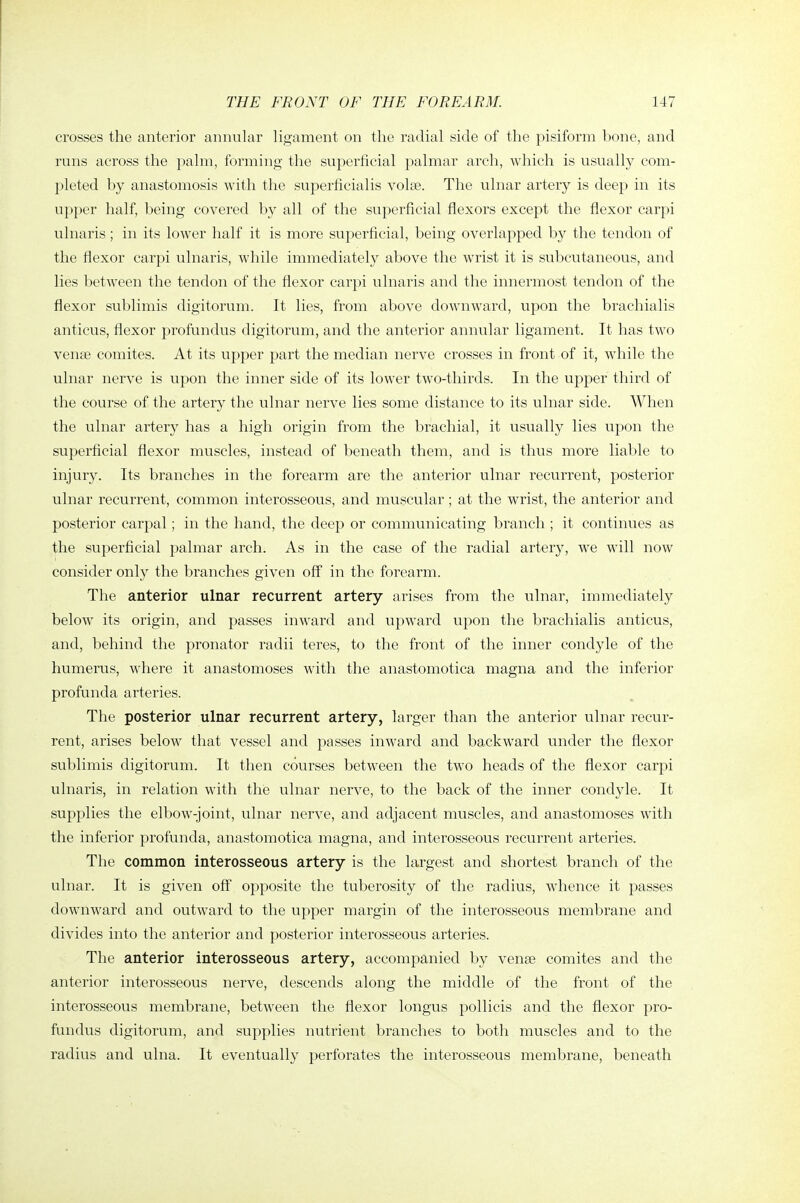 crosses the anterior annular ligament on the radial side of the pisiform l)one, and runs across the palm, forming the superficial palmar arch, which is usually com- pleted by anastomosis with the superficialis volse. The ulnar artery is deep in its upper half, being covered by all of the superficial flexors except the flexor carpi ulnaris; in its lower half it is more superficial, being overlapped b}^ the tendon of the flexor carpi ulnaris, while immediately above the wrist it is subcutaneous, and lies between the tendon of the flexor carpi ulnaris and the innermost tendon of the flexor sublimis digitorum. It lies, from above downward, upon the brachialis anticus, flexor profundus digitorum, and the anterior annular ligament. It has two vense comites. At its upper part the median nerve crosses in front of it, while the ulnar nerve is upon the inner side of its lower two-thirds. In the upper third of the course of the artery the ulnar nerve lies some distance to its ulnar side. When the ulnar artery has a high origin from the brachial, it usually lies upon the superficial flexor muscles, instead of beneath them, and is thus more liable to injury. Its branches in the forearm are the anterior ulnar recurrent, posterior ulnar recurrent, common interosseous, and muscular; at the wrist, the anterior and posterior carpal; in the hand, the deep or communicating branch ; it continues as the superficial palmar arch. As in the case of the radial artery, we will now consider only the branches given off in the forearm. The anterior ulnar recurrent artery arises from the ulnar, immediately below its origin, and passes inward and upward upon the brachialis anticus, and, behind the pronator radii teres, to the front of the inner condyle of the humerus, where it anastomoses with the anastomotica magna and the inferior profunda arteries. The posterior ulnar recurrent artery, larger than the anterior ulnar recur- rent, arises below that vessel and passes inward and backward under the flexor sublimis digitorum. It then courses between the two heads of the flexor carpi ulnaris, in relation with the ulnar nerve, to the back of the inner condyle. It supplies the elbow-joint, ulnar nerve, and adjacent muscles, and anastomoses with the inferior profunda, anastomotica magna, and interosseous recurrent arteries. The common interosseous artery is the largest and shortest branch of the ulnar. It is given off opposite the tuberosity of the radius, whence it passes downward and outward to the upper margin of the interosseous membrane and divides into the anterior and posterior interosseous arteries. The anterior interosseous artery, accompanied by venae comites and the anterior interosseous nerve, descends along the middle of the front of the interosseous membrane, between the flexor longus pollicis and the flexor pro- fundus digitorum, and supplies nutrient branches to both muscles and to the radius and ulna. It eventually perforates the interosseous membrane, beneath