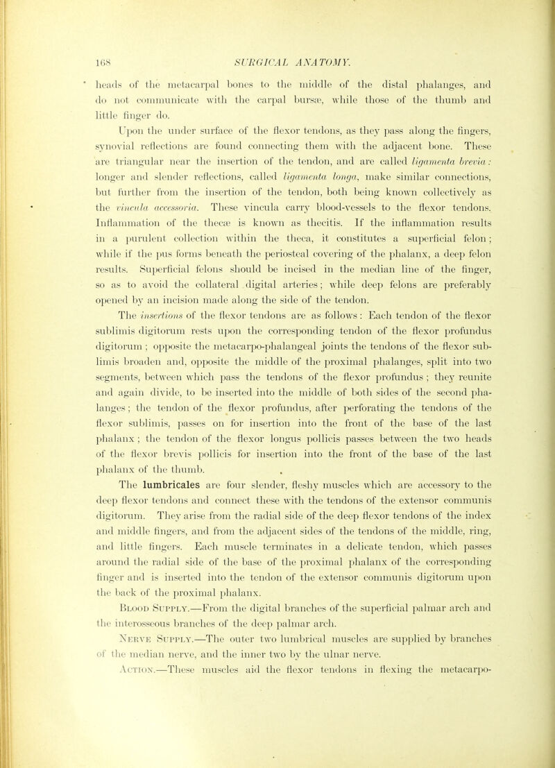 heads of the metacarpal bones to the middle of the distal phalanges, and do not communicate with the carpal ])ursa?, while those of the thumb and little finger do. Upon the under surface of the flexor tendons, as they pass along the fingers, synovial reflections are found connecting them with the adjacent bone. These are triangular near the insertion of the tendon, and are called ligamenta brevia : longer and slender reflections, called ligamenta longa, make similar connections, but further from the insertion of the tendon, both being known collectively as the vincula accessoria. These vincula carry blood-vessels to the flexor tendons. Inflammation of the thecse is known as thecitis. If the inflammation results in a purulent collection within the theca, it constitutes a superficial felon; while if the pus forms beneath the periosteal covering of the phalanx, a deep felon results. Superficial felons should be incised in the median line of the finger, so as to avoid the collateral digital arteries; while deep felons are preferably opened by an incision made along the side of the tendon. The insertions of the flexor tendons are as follows : Each tendon of the flexor sublimis digitorum rests upon the corresponding tendon of the flexor profundus cligitorum ; opposite the metacarpo-phalangeal joints the tendons of the flexor sub- limis broaden and, opposite the middle of the proximal phalanges, split into two segments, between which pass the tendons of the flexor profundus ; they reunite and again divide, to be inserted into the middle of both sides of the second pha- langes ; the tendon of the flexor profundus, after perforating the tendons of the flexor sublimis, passes on for insertion into the front of the base of the last phalanx ; the tendon of the flexor longus pollicis passes between the two heads of the flexor brevis pollicis for insertion into the front of the base of the last phalanx of the thumb. The lumbricales are four slender, fleshy muscles which are accessory to the deep flexor tendons and connect these with the tendons of the extensor communis digitorum. They arise from the radial side of the deep flexor tendons of the index and middle fingers, and from the adjacent sides of the tendons of the middle, ring, and little fingers. Each muscle terminates in a delicate tendon, which passes around the radial side of the base of the proximal phalanx of the corresponding finger and is inserted into the tendon of the extensor connnunis digitorum upon the back of the proximal phalanx. Blood Supply.—From the digital branches of the superficial palmar arch and the interosseous branches of the deep palmar arch. Nerve Supply.—The outer two lumbrical muscles are supplied by branches of the median nerve, and the inner two by the ulnar nerve. Action.—These muscles aid the flexor tendons in flexing the metacarpo-
