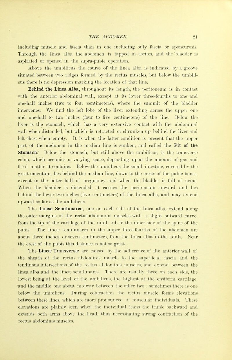 including muscle and fascia than in one including only fascia or aponeurosis. Through the linea alba the abdomen is tapped in ascites, and the'bladder is aspirated or opened in the supra-pubic operation. Above the umbilicus the course of the linea alba is indicated by a groove situated between two ridges formed by the rectus muscles, but below the umbili- cus there is no depression marking the location of that line. Behind the Linea Alba, throughout its length, the peritoneum is in contact with the anterior abdominal wall, except at its lower three-fourths to one and one-half inches (two to four centimeters), where the summit of the bladder intervenes. We find the left lobe of the liver extending across the upper one and one-half to two inches (four to five centimeters) of the line. Below the liver is the stomach, which has a very extensive contact with the abdominal wall when distended, but which is retracted or shrunken up behind the liver and left chest when empty. It is when the latter condition is present that the upper part of the abdomen in the median line is sunken, and called the Pit of the Stomach.' Below the stomach, but still above the umbilicus, is the transverse colon, which occupies a varying space, depending upon the amount of gas and fecal matter it contains. Below the umbilicus the small intestine, covered by the great omentum, lies behind the median line, down to the crests of the pubic bones, except in the latter half of pregnancy and when the bladder is full of urine. When the bladder is distended, it carries the peritoneum upward and lies behind the lower two inches (five centimeters) of the linea alba, and may extend upward as far as the umbilicus. The Lineae Semilunares, one on each side of the linea alba, extend along the outer margins of the rectus abdominis muscles with a slight outward curve, from the tip of the cartilage of the ninth rib to the inner side of the spine of the pubis. The lineae semilunares in the upper three-fourths of the abdomen are about three inches, or seven centimeters, from the linea alba in the adult. Near the crest of the pubis this distance is not so great. The Lineae Transversae are caused by the adherence of the anterior wall of the sheath of the rectus abdominis muscle to the superficial fascia and the tendinous intersections of the rectus abdominis muscles, and extend between the linea alba and the linear semilunares. There are usually three on each side, the lowest being at the level of the umbilicus, the highest at the ensiform cartilage, rand the middle one about midway between the other two; sometimes there is one below the umbilicus. During contraction the rectus muscle forms elevations between these lines, which are more pronounced in muscular individuals. These elevations are plainly seen when the individual leans the trunk backward and extends both arms above the head, thus necessitating strong contraction of the rectus abdominis muscles.
