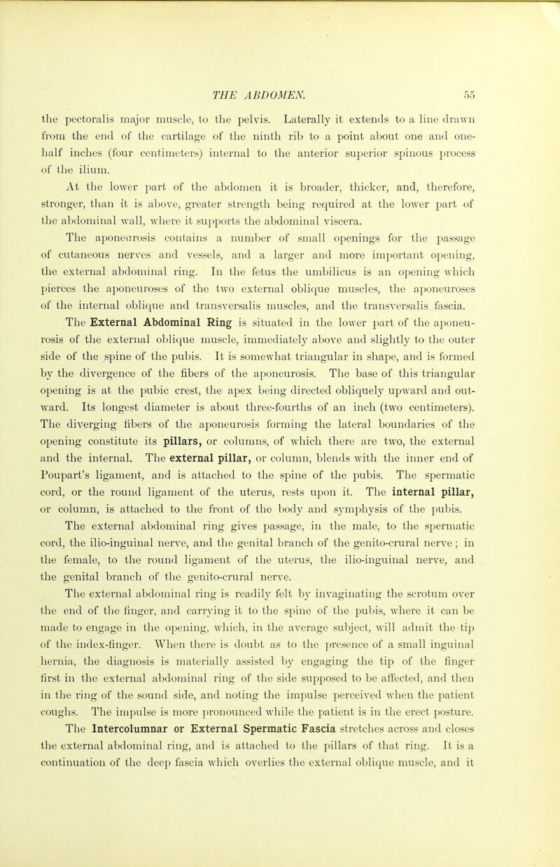 the pectoralis major muscle, to the pelvis. Laterally it extends to a line drawn from the end of the cartilage of the ninth rib to a point about one and one- half inches (four centimeters) internal to the anterior superior spinous process of the ilium. At the lower part of the abdomen it is broader, thicker, and, therefore, stronger, than it is above, greater strength being required at the lower part of the abdominal wall, where it supports the abdominal viscera. The aponeurosis contains a number of small openings for the passage of cutaneous nerves and vessels, and a larger and more important opening, the external abdominal ring. In tlie fetus the umbilicus is an opening which pierces the aponeuroses of the two external oblique muscles, the aponeuroses of the internal oblique and transversalis muscles, and the transversalis fascia. The External Abdominal Ring is situated in the lower part of the aponeu- rosis of the external oblique muscle, immediately above and slightly to the outer side of the spine of the pubis. It is somewhat triangular in shape, and is formed by the divergence of the fibers of the aponeurosis. The base of this triangular opening is at the pubic crest, the apex being directed obliquely upward and out- ward. Its longest diameter is about three-fourths of an inch (two centimeters). The diverging fibers of the aponeurosis forming the lateral boundaries of the opening constitute its pillars, or columns, of which there are two, the external and the internal. The external pillar, or column, blends with the inner end of Poupart's ligament, and is attached to the spine of the pubis. The spermatic cord, or the round ligament of the uterus, rests upon it. The internal pillar, or column, is attached to the front of the body and symphysis of the pubis. Th€ external abdominal ring gives passage, in the male, to the spermatic cord, the ilio-inguinal nerve, and the genital branch of the genito-crural nerve ; in the female, to the round ligament of the uterus, the ilio-inguinal nerve, and the genital branch of the genito-crural nerve. The external abdominal ring is readily felt by invaginating the scrotum over the end of the finger, and carrying it to the spine of the pubis, where it can be made to engage in the opening, which, in the average subject, will admit the tip of the index-finger. When there is doubt as to the presence of a small inguinal hernia, the diagnosis is materially assisted by engaging the tip of the finger first in the external abdominal ring of the side supposed to be affected, and then in the ring of the sound side, and noting the impulse perceived when the patient coughs. The impulse is more pronounced while the patient is in the erect posture. The Intercolumnar or External Spermatic Fascia stretches across and closes the external abdominal ring, and is attached to the pillars of that ring. It is a continuation of the deep fascia which overlies the external oblique muscle, and it