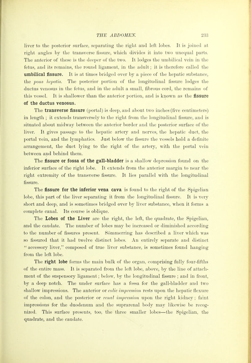 liver to the posterior surface, separating the right and left lobes. It is joined at right angles by the transverse fissure, which divides it into two unequal parts. The anterior of these is the deeper of the two. It lodges the umbilical vein in the fetus, and its remains, the round ligament, in the adult; it is therefore called the umbilical fissure. It is at times bridged over by a piece of the hepatic substance, the pons hepatis. The posterior portion of the longitudinal fissure lodges the ductus venosus in the fetus, and in the adult a small, fibrous cord, the remains of this vessel. It is shallower than the anterior portion, and is known as the fissure of the ductus venosus. The transverse fissure (portal) is deep, and about two inches (five centimeters) in length ; it extends transversely to the right from the longitudinal fissure, and is situated about midway between the anterior border and the posterior surface of the liver. It gives passage to the hepatic artery and nerves, the hepatic duct, the portal vein, and the lymphatics. Just below the fissure the vessels hold a definite arrangement, the duct lying to the right of the artery, with the portal vein between and behind them. The fissure or fossa of the gall-bladder is a shallow depression found on the inferior surface of the right lobe. It extends from the anterior margin to near the right extremity of the transverse fissure. It lies parallel with the longitudinal fissure. The fissure for the inferior vena cava is found to the right of the Spigelian lobe, this part of the liver separating it from the longitudinal fissure. It is very short and deep, and is sometimes bridged over by liver substance, when it forms a complete canal. Its course is oblique. The Lobes of the Liver are the right, the left, the quadrate, the Spigelian, and the caudate. The number of lobes may be increased or diminished according to the number of fissures present. Sommerring has described a liver which was so fissured that it had twelve distinct lobes. An entirely separate and distinct  accessory liver, composed of true liver substance, is sometimes found hanging from the left lobe. The right lobe forms the main bulk of the organ, comprising fully four-fifths of the entire mass. It is separated from the left lobe, above, by the line of attach- ment of the suspensory ligament; below, by the longitudinal fissure ; and in front, by a deep notch. The under surface has a fossa for the gall-bladder and two shallow impressions. The anterior or colic impression rests upon the hepatic flexure of the colon, and the posterior or renal impression upon the right kidney ; faint impressions for the duodenum and the suprarenal body may likewise be recog- nized. This surface presents, too, the three smaller lobes—the Spigelian, the quadrate, and the caudate.