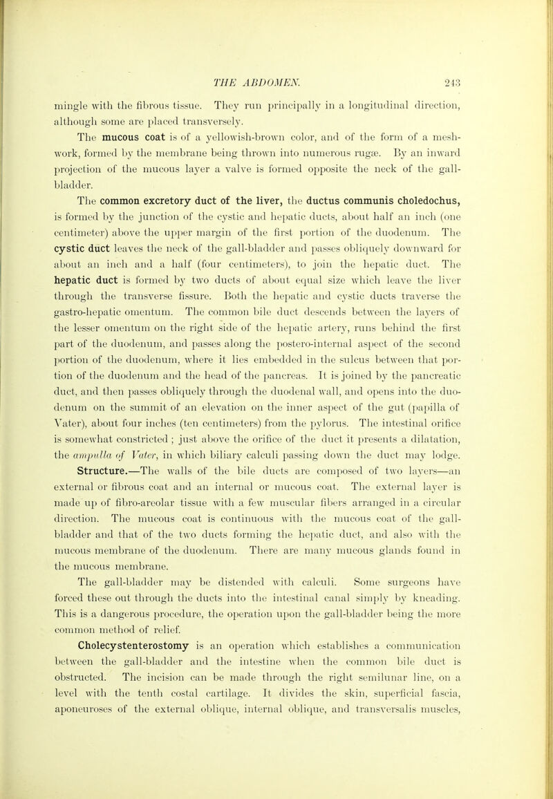 mingle with the fibrous tissue. They run principally in a longitudinal direction, although some are placed transversely. The mucous coat is of a yellowish-brown color, and of the form of a mesh- work, formed by the membrane being thrown into numerous rugae. By an inward projection of the mucous layer a valve is formed opposite the neck of the gall- bladder. The common excretory duct of the liver, the ductus communis choledochus, is formed by the junction of the cystic and hepatic ducts, about half an inch (one centimeter) above the upper margin of the first portion of the duodenum. The cystic duct leaves the neck of the gall-bladder and passes obliquely downward for about an inch and a half (four centimeters), to join the hepatic duct. The hepatic duct is formed by two ducts of about ecpial size which leave the liver through the transverse fissure. Both the hepatic and cystic ducts traverse the gastro-hepatic omentum. The common bile duct descends between the layers of the lesser omentum on the right side of the he])atic artery, runs behind the first part of the duodenum, and passes along the postero-internal aspect of the second portion of the duodenum, where it lies embedded in the sulcus between that por- tion of the duodenum and the head of the pancreas. It is joined by the pancreatic duct, and then passes obliquely through the duodenal wall, and opens into tlie duo- denum on the summit of an elevation on the inner aspect of the gut (|)apilla of Vater), about four inches (ten centimeters) from the pylorus. The intestinal orifice is somewhat constricted ; just above the orifice of the duct it presents a dilatation, the amp}tUa of Vater, in which biliary calculi passing down the duct may lodge. Structure.—The walls of the bile ducts are composed of two layers—an external or fibrous coat and an internal or mucous coat. The external layer is made up of fibro-areolar tissue with a few muscular fibers arranged in a circular direction. The mucous coat is continuous witli the mucous coat of the gall- bladder and that of the two ducts forming the hepatic duct, and also with the mucous membrane of the duodenum. There are many mucous glands found in the mucous membrane. The gall-bladder may be distended with calculi. Some surgeons have forced these out through the ducts into the intestinal canal simply by kneading. This is a dangerous procedure, the operation upon the gall-bladder being the more common method of relief. Cholecystenterostomy is an operation which establishes a communication between the gall-bladder and the intestine when the common bile duct is obstructed. The incision can be made through the right semilunar line, on a level with the tenth costal cartilage. It divides the skin, superficial fascia, aponeuroses of the external oblicjue, internal oblicjue, and transversalis muscles.