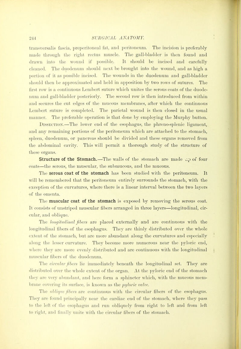 transversalis fascia, preperitoneal fat, and peritoneum. The incision is preferably made through the right rectus muscle. The gall-bladder is then found and drawn into the wound if possible. It should be incised and carefully cleaned. The duodenum should next be brought into the wound, and as high a portion of it as possible incised. The wounds in the duodenum and gall-bladder should then be approximated and held in apposition by two rows of sutures. The first row is a continuous Lembert suture which unites the serous coats of the duode- num and gall-bladder posteriorly. The second row is then introduced from within and secures the cut edges of the mucous membranes, after which the continuous Lembert suture is completed. The parietal wound is then closed in the usual manner. The preferable operation is that done by employing the Murphy button. DissECTiox.—The lower end of the esophagus, the phreno-splenic ligament, and any remaining portions of the peritoneum which are attached to the stomach, spleen, duodenum, or pancreas should be divided and these organs removed from the abdominal cavity. This will permit a thorough study of the structure of these organs. Structure of the Stomach.—The walls of the stomach are made c;p of four coats—the serous, the muscular, the submucous, and the mucous. The serous coat of the stomach has been studied with the peritoneum. It will be remembered that the peritoneum entirely surrounds the stomach, with the exception of the curvatures, where there is a linear interval between the two layers of the omenta. The muscular coat of the stomach is exposed by removing the serous coat. It consists of unstriped muscular fibers arranged in three layers—longitudinal, cir- cular, and oblique. The longitudinal fibers are placed externally and are continuous with the longitudinal fibers of the esophagus. They are thinly distributed over the whole extent of the stomach, but are more abundant along the curvatures and especially along the lesser curvature. They become more numerous near the pyloric end, where they are more evenly distributed and are continuous with the longitudinal muscular fibers of the duodenum. The circular fibers lie immediately beneath the longitudinal set. They are distributed over the whole extent of the organ. At the pyloric end of the stomach they are very abundant, and liere form a sphincter which, with the mucous mem- brane covering its surface, is known as the pyloric valve. Tlie oblique fibers are continuous with the circular fibers of the esophagus. They are found principally near the cardiac end of the stomach, where they pass to the left of the esophagus and run obliquely from right to left and from left to right, and finally unite with the circular fibers of the stomach.