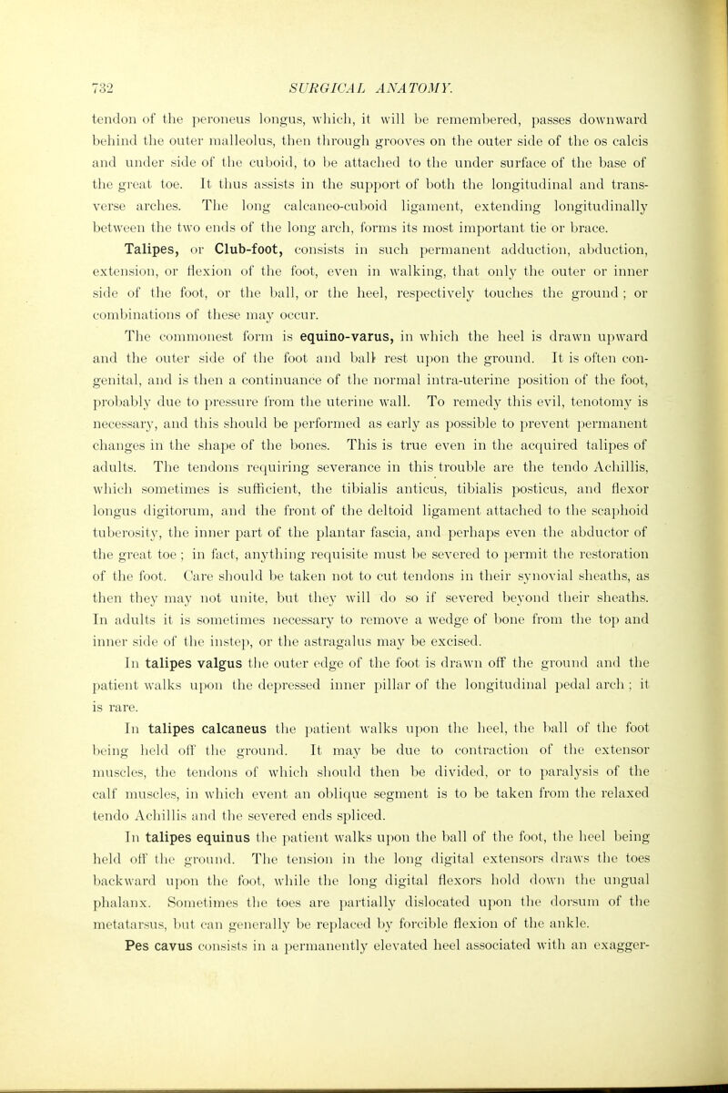 tendon of the peroneus longus, which, it will be remembered, passes downward behind the outer malleolus, then through grooves on the outer side of the os calcis and under side of the cuboid, to he attached to the under surface of the base of the great toe. It thus assists in the support of both the longitudinal and trans- verse arches. The long ealcaneo-cuboid ligament, extending longitudinally between the two ends of the long arch, forms its most important tie or brace. Talipes, or Club-foot, consists in such permanent adduction, abduction, extension, or tlexion of the foot, even in walking, that only the outer or inner side of the foot, or the ball, or the heel, respectively touches the ground ; or combinations of these may occur. The commonest form is equino-varus, in which the heel is drawn upward and the outer side of the foot and ball- rest upon the ground. It is often con- genital, and is then a continuance of tlie normal intra-uterine position of the foot, probably due to pressure from the uterine wall. To remedy this evil, tenotomy is necessar}', and this should be performed as early as possible to prevent permanent changes in the shape of the bones. This is true even in the acquired talipes of adults. The tendons requiring severance in this trouble are the tendo Achillis, which sometimes is sufficient, the tibialis anticus, tibialis posticus, and flexor longus digitorum, and the front of the deltoid ligament attached to the scaphoid tuberosity, the inner part of the plantar fascia, and perhaps even the abductor of the great toe ; in fact, anything requisite must be severed to permit the restoration of the foot. Care should be taken not to cut tendons in their synovial sheaths, as then they may not unite, but they will do so if severed beyond their sheaths. In adults it is sometimes necessary to remove a wedge of bone from the top and inner side of the instep, or tlie astragalus may be excised. In talipes valgus the outer edge of the foot is drawn off the ground and the patient walks upon the depressed inner pillar of the longitudinal pedal arch ; it is rare. In talipes calcaneus tlie patient walks upon the heel, the ball of the foot being held off the ground. It may be due to contraction of the extensor muscles, the tendons of which should then be divided, or to paralysis of the calf muscles, in which event an oblique segment is to be taken from the relaxed tendo Achillis and the severed ends spliced. In talipes equinus the patient walks upon the ball of the foot, the heel being held off the ground. The tension in the long digital extensors draws the toes backward upon the foot, while the long digital flexors hold down the ungual phalanx. Sometimes the toes are partially dislocated upon the dorsum of the metatarsus, but can generally be replaced by forcilde flexion of the aidvle. Pes cavus consists in a permanently elevated heel associated with an exagger-