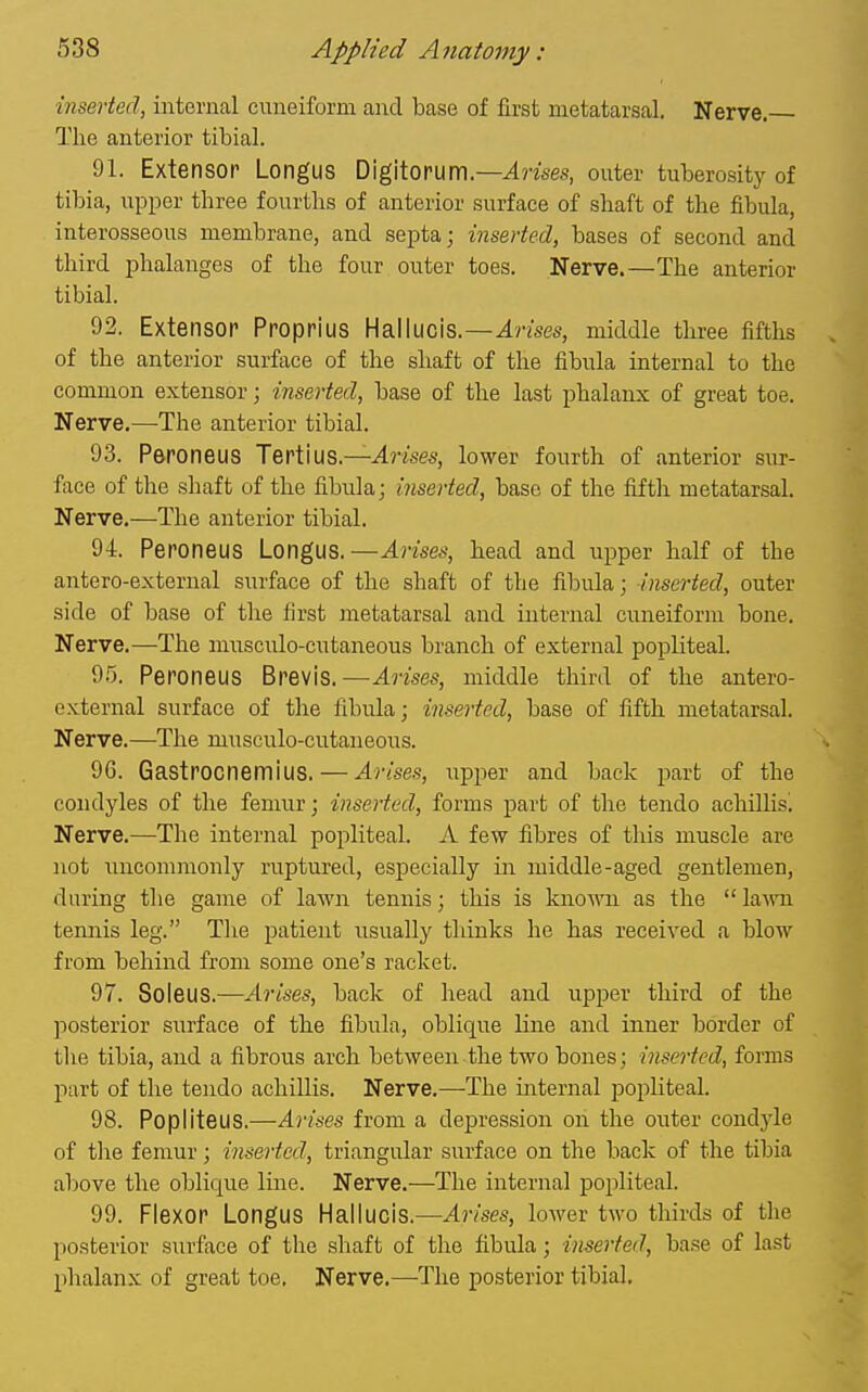 inserted, internal cuneiform and base of first metatarsal. Nerve. The anterior tibial. 91. Extensor Longus Digitorum.—^n'se.s, outer tuberosity of tibia, upper three fourths of anterior surface of shaft of the fibula, interosseous membrane, and septa; inserted, bases of second and third phalanges of the four outer toes. Nerve.—The anterior tibial. 92. Extensor Proprius Hallucis.—Arises, middle three fifths of the anterior surface of the shaft of the fibula internal to the common extensor; inserted, base of the last phalanx of great toe. Nerve.—The anterior tibial. 93. Peroneus Terti us.—^nses, lower fourth of anterior sur- face of the shaft of the fibula; inserted, base of the fifth metatarsal. Nerve.—The anterior tibial. 9-t. Peroneus Longus.—Arises, head and upper half of the antero-external surface of the shaft of the fibula; inserted, outer side of base of the first metatarsal aud internal cuneiform bone. Nerve.—The nuisculo-cutaneous branch of external popliteal. 95. Peroneus Brevis.—Arises, middle third of the antero- external surface of the fibula; inserted, base of fifth metatarsal. Nerve.—The musculo-cutaueous. 9G. Gastrocnemius. — Arises, upper and back part of the coudyles of the femur; inserted, forms part of the tendo achillis^ Nerve.—The internal popliteal. A few fibres of this muscle are not inicommonly ruptured, especially in middle-aged gentlemen, during the game of lawn tennis; this is loiown as the  la^vn tennis leg. Tlie patient usually thinks he has received a blow from behind from some one's racket. 97. Soleus.—Arises, back of head aud upper third of the posterior surface of the fibula, oblique line and inner border of the tibia, and a fibrous arch between the two bones; inserted, forms part of the tendo achillis. Nerve.—The internal popliteal 98. Popliteus.—Arises from a depression on the outer condyle of the femur; inserted, triangular surface on the back of the tibia aljove the oblique line. Nerve.—The internal popliteal. 99. Flexor Longus Halluois.—Arises, lower two thirds of the posterior surface of tlie shaft of the fibula; inserted, base of last phalanx of great toe. Nerve.—The posterior tibial.