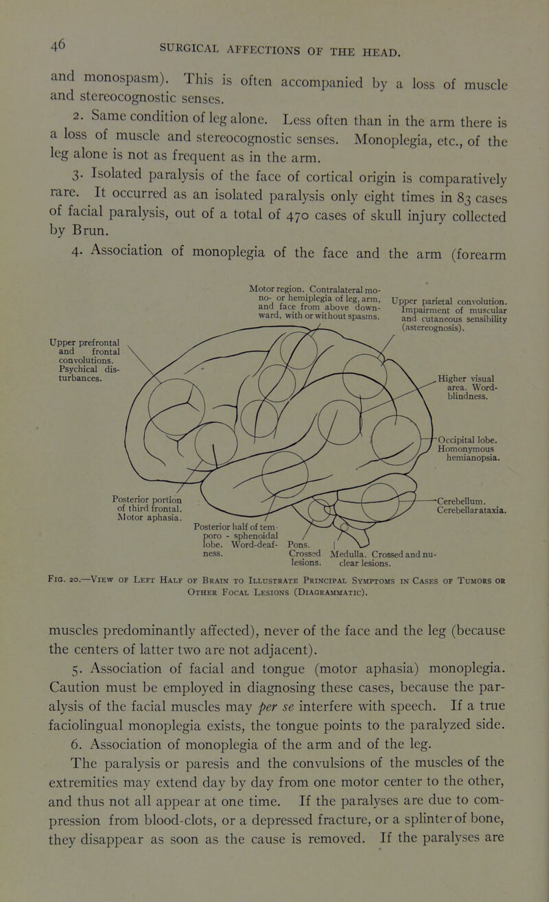 and monospasm). This is often accompanied by a loss of muscle and stereocognostic senses. 2. Same condition of leg alone. Less often than in the arm there is a loss of muscle and stereocognostic senses. Monoplegia, etc., of the leg alone is not as frequent as in the arm. 3. Isolated paralysis of the face of cortical origin is comparatively rare. It occurred as an isolated paralysis only eight times in 83 cases of facial paralysis, out of a total of 470 cases of skull injury collected by Brun. 4. Association of monoplegia of the face and the arm (forearm Motor region. Contralateral mo- no- or hemiplegia of leg, arm, and face from above down- ward, with or without spasms. Upper prefrontal and frontal convolutions. Psychical dis- turbances. Posterior portion of third frontal. Motor aphasia. Posterior iialf of tem- pore - sphenoidal lobe. Word-deaf- ness. / Pons. Crossed lesions. Upper parietal convolution. Impairment of muscular and cutaneous sensibility (astereognosis). Higher \isual area. Word- blindness. Occipital lobe. Homonymous hemianopsia. 'Cerebellum. Cerebellar ataxia. Medulla. Crossed and nu- clear lesions. Fig. 20.—View of Left Half of Brain to Illustrate Principal Symptoms in Cases of Tumors or Other Focal Lesions (Diagrammatic). muscles predominantly affected), never of the face and the leg (because the centers of latter two are not adjacent). 5. Association of facial and tongue (motor aphasia) monoplegia. Caution must be employed in diagnosing these cases, because the par- alysis of the facial muscles may per se interfere with speech. If a true faciolingual monoplegia exists, the tongue points to the paralyzed side. 6. Association of monoplegia of the arm and of the leg. The paralysis or paresis and the convulsions of the muscles of the extremities may extend day by day from one motor center to the other, and thus not all appear at one time. If the paralyses are due to com- pression from blood-clots, or a depressed fracture, or a sphnterof bone, they disappear as soon as the cause is removed. If the paralyses are