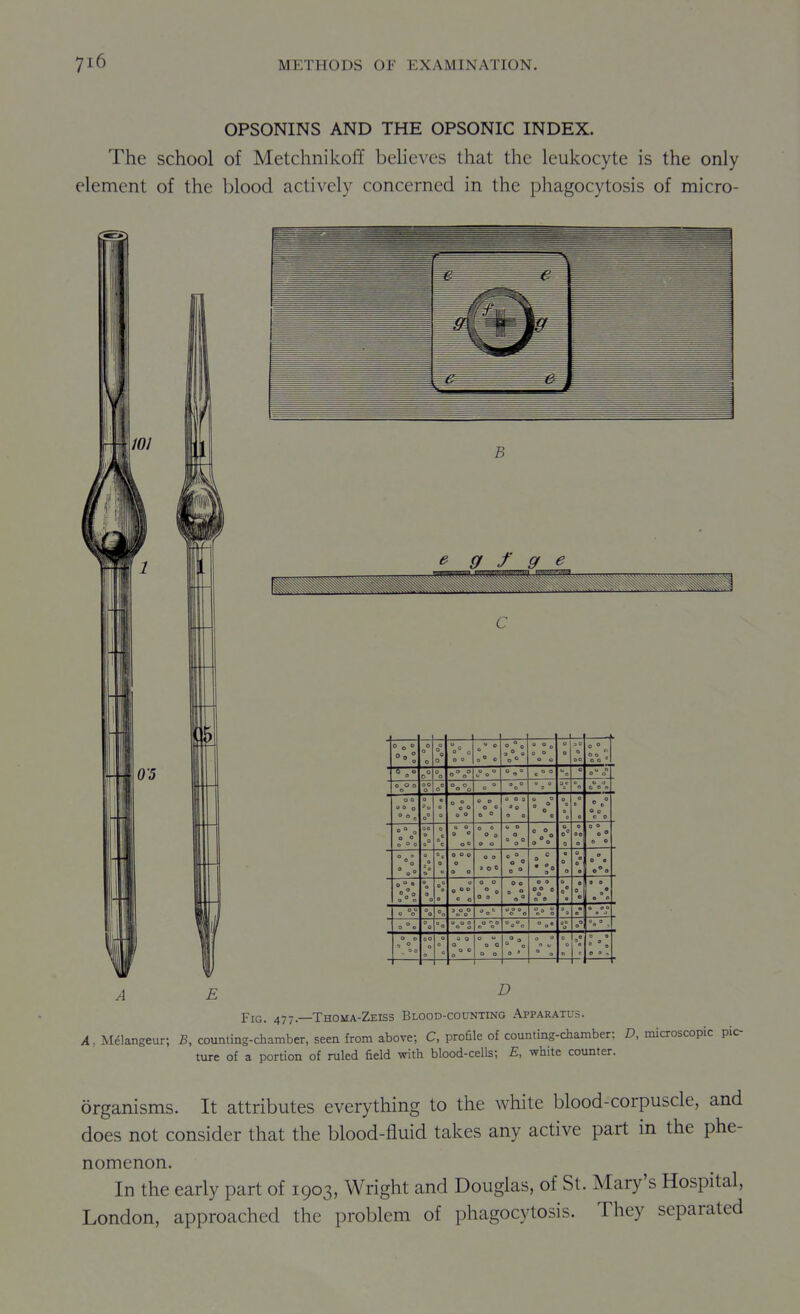 OPSONINS AND THE OPSONIC INDEX. The school of Metchnikoff believes that the leukocyte is the only element of the blood actively concerned in the phagocytosis of micro- A. Melangeur; B, counting-chamber, seen from above; C, profile of counting-chamber: D, microscopic pic- ture of a portion of ruled field with blood-cells; E, white counter. organisms. It attributes everything to the white blood-corpuscle, and does not consider that the blood-fluid takes any active part in the phe- nomenon. In the early part of 1903, Wright and Douglas, of St. Mary's Hospital, London, approached the problem of phagocytosis. They separated