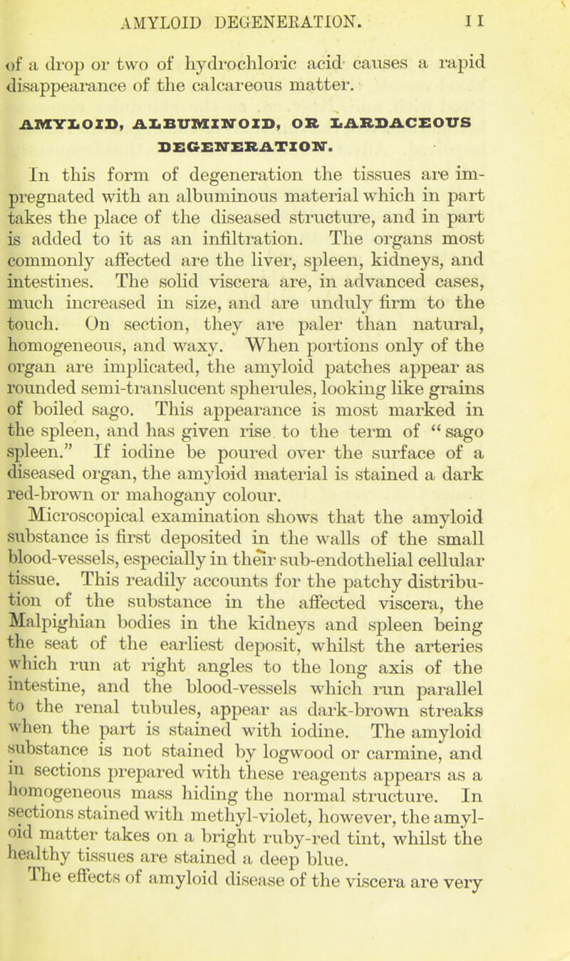 \ of a drop or two of hydi'ochloric acid causes a rapid disappearance of the calcareous matter. AIVIYZ.OII>, iUiBUIVIIN-OZD, OXt ItARD^aCEOVS SEGEN'ERilTXOM'. In this form of degeneration the tissues are im- pregnated with an albuminous material which in part takes the place of the diseased structure, and in part is added to it as an infiltration. The organs most commonly affected are the liver, spleen, kidneys, and intestines. The solid ^dscera are, in advanced cases, much increased in size, and are unduly firm to the touch. On section, they are paler than natural, homogeneous, and waxy. When portions only of the organ are implicated, the amyloid patches appear as rovmded semi-translucent sphei-ules, looking like grains of boiled sago. This appearance is most marked in the spleen, and has given rise to the term of  sago spleen. If iodine be poured over the surface of a diseased organ, the amyloid material is stained a dark red-brown or mahogany colour. Microscopical examination shows that the amyloid substance is first deposited in the walls of the small blood-vessels, especially in th^r sub-endothelial cellular tissue. This readily accounts for the patchy distribu- tion of the substance in the afiected viscera, the Malpighian bodies in the kidneys and spleen being the seat of the earliest deposit, whilst the arteries which run at right angles to the long axis of the intestine, and the blood-vessels which run parallel to the renal tubules, appear as dark-brown streaks when the part is stained with iodine. The amyloid substance is not stained by logwood or carmine, and m sections prepared with these reagents appears as a homogeneous mass hiding the normal structure. In sections stained with methyl-violet, however, the amyl- oid matter takes on a bright ruby-red tint, whilst the healthy tissues are stained a deep blue. The effects of amyloid disease of the viscera are very