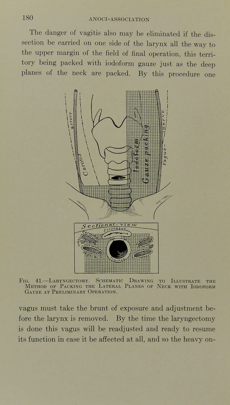 The danger of vagitis also may be eliminated if the dis- section be carried on one side of the larynx all the way to the upper margin of the field of final operation, this terri- tory being packed with iodoform gauze just as the deep planes of the neck are packed. By this procedure one Fig. 41.—Laryngectomy. Schematic Drawing to Illustrate the Method of Packing the Lateral Planes of Neck with Iodoform Gauze at Preliminary Operation. vagus must take the brunt of exposure and adjustment be- fore the larynx is removed. By the time the laryngectomy is done this vagus will be readjusted and ready to resume its function in case it be affected at all, and so the heavy on-