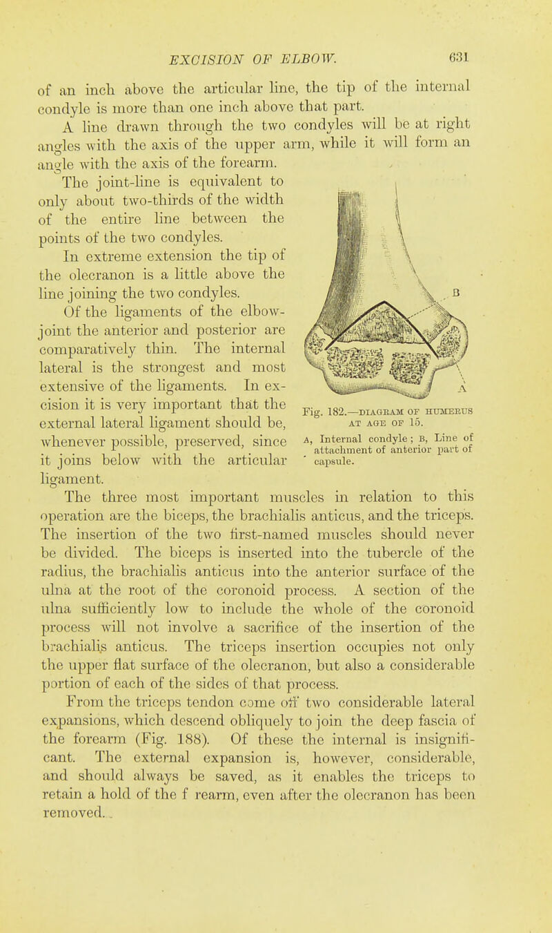 of an inch above the articular line, the tip of the internal condyle is more than one inch above that part. A line drawn through the two condyles will be at right angles with the axis of the upper arm, while it will form an angle with the axis of the forearm. The joint-line is equivalent to only about two-thirds of the width of the entire Hne between the points of the two condyles. In extreme extension the tip of the olecranon is a little above the line joining the two condyles. Of the ligaments of the elbow- joint the anterior and posterior are comparatively thin. The internal lateral is the strongest and most extensive of the ligaments. In ex- cision it is very important that the external lateral ligament should be, whenever possible, preserved, since it joins below Avith the articular ligament. The three most important muscles in relation to this operation are the biceps, the brachialis anticus, and the triceps. The insertion of the two Urst-named muscles should never be divided. The biceps is inserted into the tubercle of the radius, the brachialis anticus into the anterior surface of the ulna at the root of the coronoid process. A section of the ulna sufficiently low to include the whole of the coronoid process will not involve a sacrifice of the insertion of the brachialis anticus. The triceps insertion occupies not only the upper flat surface of the olecranon, but also a considerable portion of each of the sides of that process. From the triceps tendon come oti two considerable lateral expansions, which descend obliquely to join the deep fascia of the forearm (Fig. 188). Of these the internal is insignifi- cant. The external expansion is, however, considerable, and should always be saved, as it enables the triceps to retain a hold of the f rearm, even after the olecranon has been removed.. Fig. 182.—DIAGEAM OF HUMERUS AT AGE OF 15. A, Internal condyle ; B, Line of attachment of anterior part of capsule.