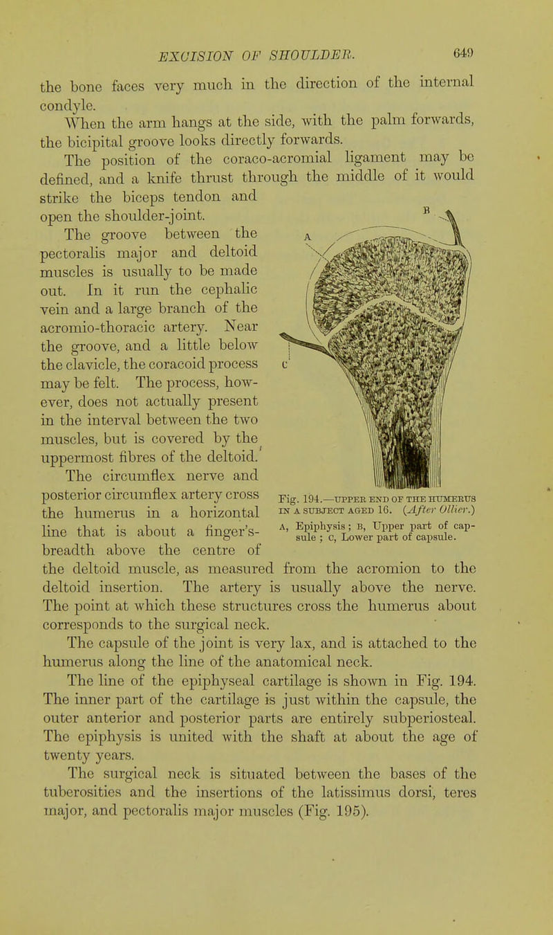 the bone faces very much in the direction of the internal condyle. When the arm hangs at the side, with the palm forwards, the bicipital groove looks directly forwards. The position of the coraco-acromial ligament may be defined, and a knife thrust through the middle of it would strike the biceps tendon and open the shoulder-joint. The groove between the pectoralis major and deltoid muscles is usually to be made out. In it run the cephalic vein and a large branch of the acromio-thoracic artery. Near the groove, and a little below the clavicle, the coracoid process may be felt. The process, hoAv- ever, does not actually present in the interval between the two muscles, but is covered by the uppermost fibres of the deltoid. The circumflex nerve and posterior circiunflex artery cross the humerus in a horizontal line that is about a finger's- breadth above the centre of the deltoid muscle, as measured from the acromion to the deltoid insertion. The artery is usually above the nerve. The point at which these structures cross the humerus about corresponds to the surgical neck. The capsule of the joint is very lax, and is attached to the humerus alonsr the line of the anatomical neck. The line of the epiphyseal cartilage is shown in Fig. 194. The inner part of the cartilage is just within the capsule, the outer anterior and posterior parts are entirely subperiosteal. The epiphysis is united with the shaft at about the age of twenty years. The surgical neck is situated between the bases of the tuberosities and the insertions of the latissimus dorsi, teres major, and pectoralis major muscles (Fig. 195). Fig. 194.—UPPEE END OF THE HUMEEUS IN A SUBJECT AGED 16. {After Oilier.) A, EpiiDhysis; B, Upper part of cap- sule ; c. Lower part of capsule.