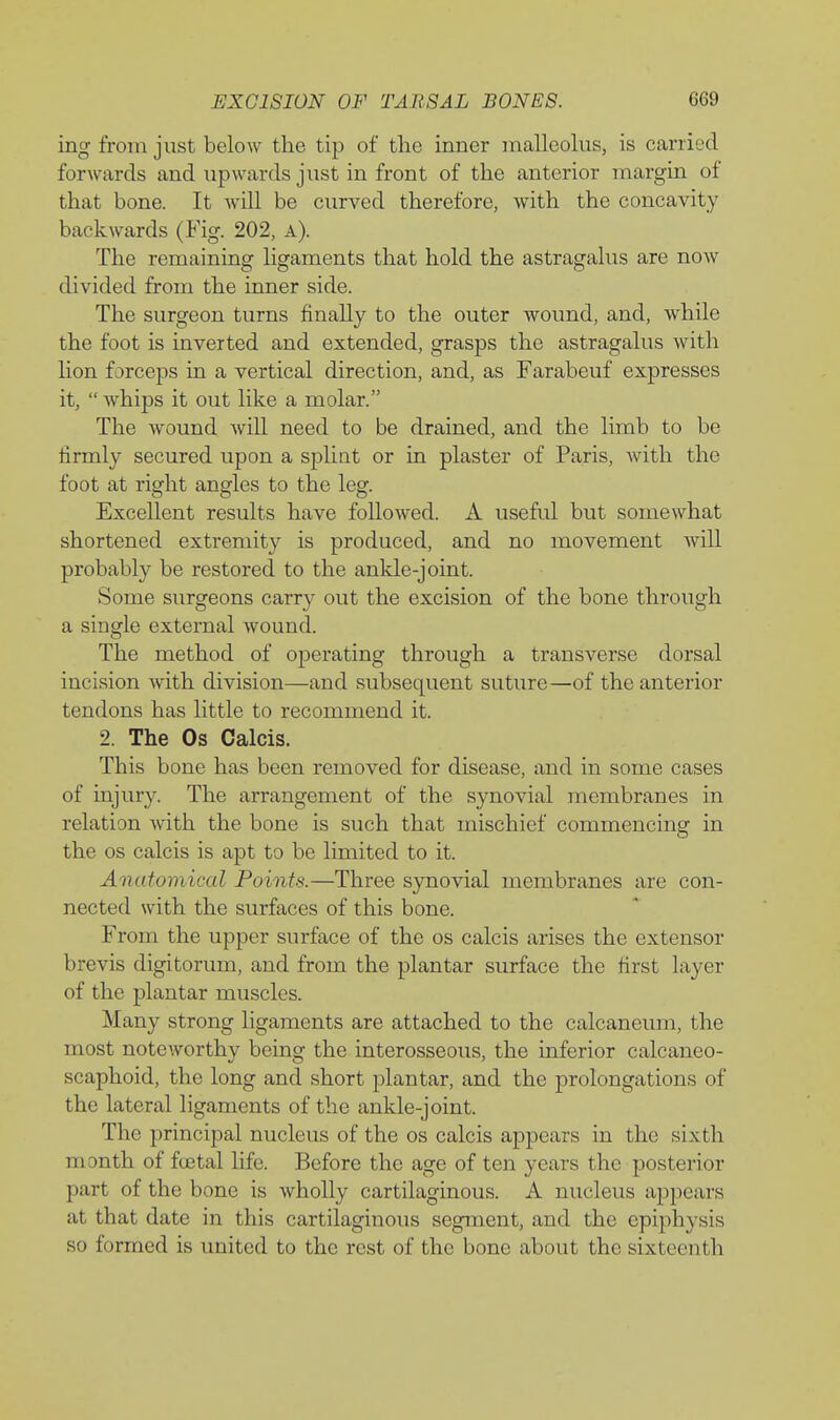 ing from just below the tip of the inner malleohis, is carried forwards and upwards just in front of the anterior margin of that bone. It will be curved therefore, with the concavity backwards (Fig. 202, a). The remaining ligaments that hold the astragalus are now divided from the inner side. The surgeon turns finally to the outer wound, and, while the foot is inverted and extended, grasps the astragalus with lion forceps in a vertical direction, and, as Farabeuf expresses it,  whips it out like a molar. The wound will need to be drained, and the limb to be firmly secured upon a splint or in plaster of Paris, with the foot at right angles to the leg. Excellent results have followed. A useful but somewhat shortened extremity is produced, and no movement will probably be restored to the ankle-joint. Some surgeons carry out the excision of the bone through a single external wound. The method of operating through a transverse dorsal incision with division—and subsequent suture—of the anterior tendons has little to recommend it. 2. The Os Calcis. This bone has been removed for disease, and in some cases of injury. The arrangement of the synovial membranes in relation with the bone is such that mischief commencing in the OS calcis is apt to be limited to it. Anatomical Points.—Three synovial membranes are con- nected with the surfaces of this bone. From the upper surface of the os calcis arises the extensor brevis digitorum, and from the plantar surface the first layer of the plantar muscles. Many strong ligaments are attached to the calcancum, the most noteworthy being the interosseous, the inferior calcaneo- scaphoid, the long and short plantar, and the prolongations of the lateral ligaments of the ankle-joint. The principal nucleus of the os calcis appears in the sixth month of fcjetal life. Before the age of ten years the posterior part of the bone is wholly cartilaginous. A nucleus appears at that date in this cartilaginous segment, and the epiphysis so formed is united to the rest of the bone about the sixteenth