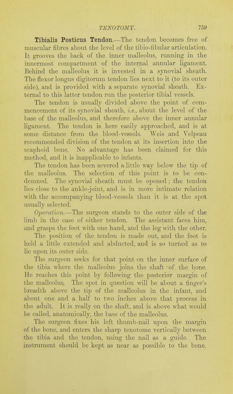 Tibialis Posticus Tendon.—The tendon becomes free of muscular fibres about the level of the tibio-fibular articulation. It grooves the back of the inner malleolus, running in the innermost compartment of the internal annular ligament. Behind the malleolus it is invested in a synovial sheath. The flexor longus digitorum tendon lies next to it (to its outer side), and is provided with a separate synovial sheath. Ex- ternal to this latter tendon run the posterior tibial vessels. The tendon is usually divided above the point of com- mencement of its synovial sheath, i.e., about the level of the base of the malleolus, and therefore above the inner annular ligament. The tendon is here easily approached, and is at some distance from the blood-vessels. Weis and Velpeau recommended division of the tendon at its insertion into the scaphoid bone. No advantage has been claimed for this method, and it is inapplicable to infants. The tendon has been severed a little way below the tip of the malleolus. The selection of this point is to be con- demned. The synovial sheath must be opened ; the tendon lies close to the anlde-joint, and is in more intimate relation with the accompanyiag blood-vessels than it is at the spot usually selected. Operation.—The surgeon stands to the outer side of the limb in the case of either tendon. The assistant faces him, and grasps the foot with one hand, and the leg with the other. The position of the tendon is made out, and the foot is held a little extended and abducted, and is so turned as to lie upon its outer side. The surgeon seeks for that point on the inner surface of the tibia where the malleolus joins the shaft of the bone. He reaches this point by following the posterior margin of the malleolus. The spot in question will be about a finger's breadth above the tip of the malleolus in the infant, and about one and a half to two inches above that process in the adult. It is really on the shaft, and is above what would be called, anatomically, the base of the malleolus. The surgeon fixes his left thumb-nail upon the margin of the bone, and enters the sharp tenotome vertically between the tibia and the tendon, using the nail as a guide. The instrument should be kept as near as possible to the bone.