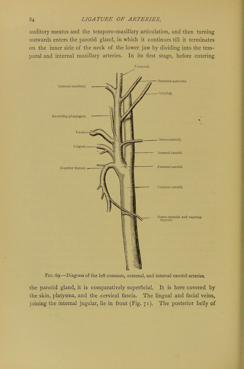 auditory meatus and the temporo-maxillary articulation, and then turning outwards enters the parotid gland, in which it continues till it terminates on the inner side of the neck of the lower jaw by dividing into the tem- poral and internal maxillary arteries. In its first stage, before entering Temporal. Internal maxillary. Ascending pharyngeal. Facial. Lingual. Superior thyroid. Posterior auricular. Jccipital, iterno-niastoid. — Internal carotid. External carotid. Common carotid. Sterno-mastoid and superior thyroid. FiG. 69.—Diagi-am of the left common, external, and internal carotid arteries. the parotid gland, it is comparatively superficial. It is here covered by the skin, platysma, and the cervical fascia. The lingual and facial veins, joining the internal jugular, lie in front (Fig. 71). The posterior belly of