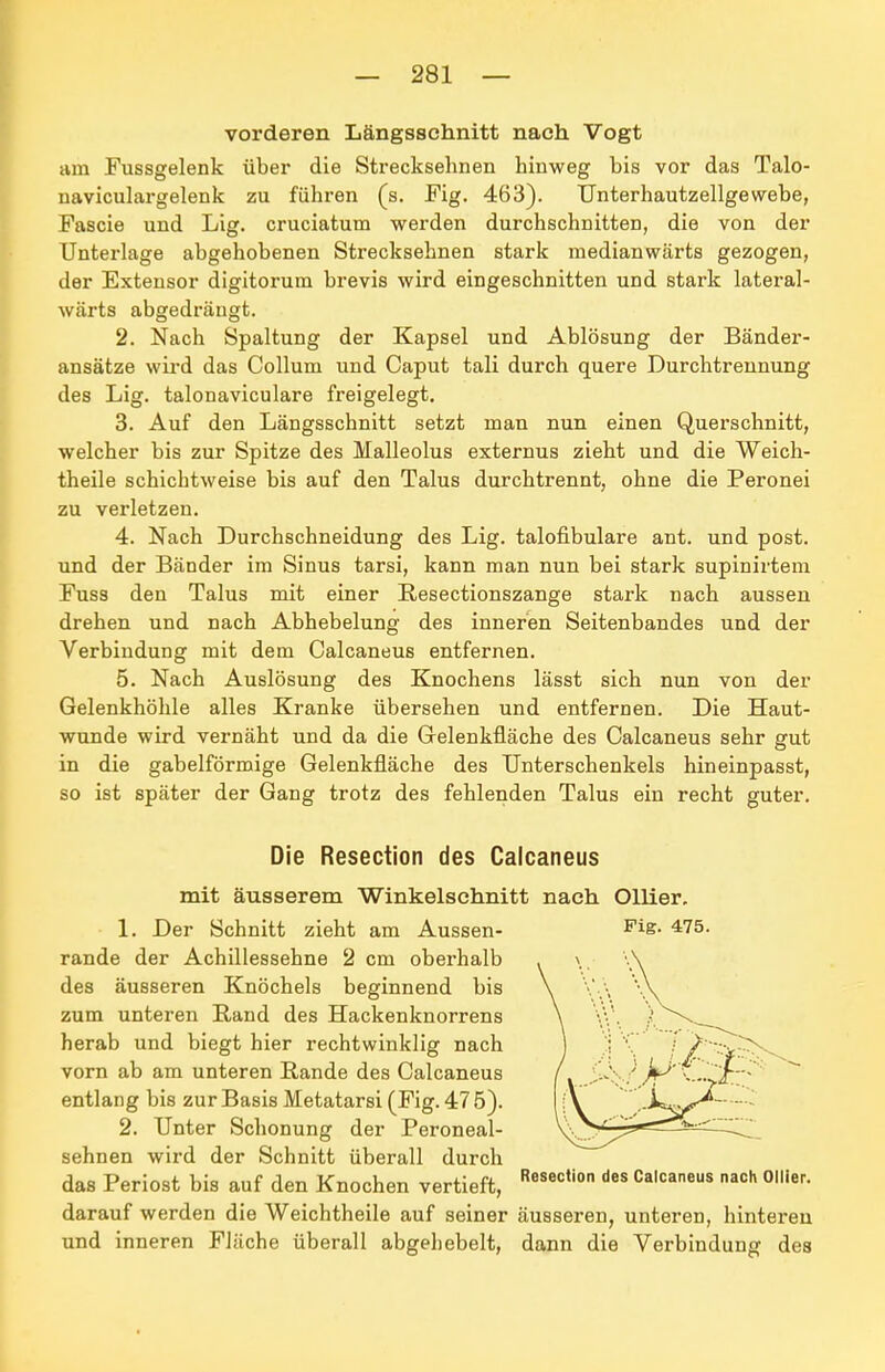 vorderen Längsschnitt nach Vogt am Fussgelenk über die Strecksehnen hinweg bis vor das Talo- naviculargelenk zu führen (s. Fig. 463). TJnterhautzellgevfebe, Fascie und Lig. cruciatum werden durchschnitten, die von der Unterlage abgehobenen Strecksehnen stark medianwärts gezogen, der Extensor digitorum brevis wird eingeschnitten und stark lateral- wärts abgedrängt. 2. Nach Spaltung der Kapsel und Ablösung der Bänder- ansätze wii'd das Collum und Caput tali durch quere Durchtreunung des Lig. talonaviculare freigelegt, 3. Auf den Längsschnitt setzt man nun einen Querschnitt, welcher bis zur Spitze des Malleolus externus zieht und die Weich- theile schichtweise bis auf den Talus durchtrennt, ohne die Peronei zu verletzen. 4. Nach Durchschneidung des Lig. talofibulare ant. und post. und der Bänder im Sinus tarsi, kann man nun bei stark supinirteni Fuss den Talus mit einer Resectionszange stark nach aussen drehen und nach Abhebelung des inneren Seitenbandes und der Verbindung mit dem Calcaneus entfernen. 5. Nach Auslösung des Knochens lässt sich nun von der Gelenkhöhle alles Kranke übersehen und entfernen. Die Haut- wunde wird vernäht und da die Gelenkfläche des Calcaneus sehr gut in die gabelförmige Gelenkfläche des Unterschenkels hineinpasst, so ist später der Gang trotz des fehlenden Talus ein recht guter. Die Resection des Calcaneus mit äusserem Winkelschnitt nach Ollier, 1. Der Schnitt zieht am Aussen- Fie- 475. rande der Achillessehne 2 cm oberhalb des äusseren Knöchels beginnend bis zum unteren Rand des Hackenknorrens herab und biegt hier rechtwinklig nach vorn ab am unteren Rande des Calcaneus entlang bis zur Basis Metatarsi (Fig. 47 5). 2. Unter Schonung der Peroneal- sehnen wird der Schnitt überall durch das Periost bis auf den Knochen vertieft, Calcaneus nach Ollier. darauf werden die Weichtheile auf seiner äusseren, unteren, hinteren und inneren Fläche überall abgeliebelt, dann die Verbindung des