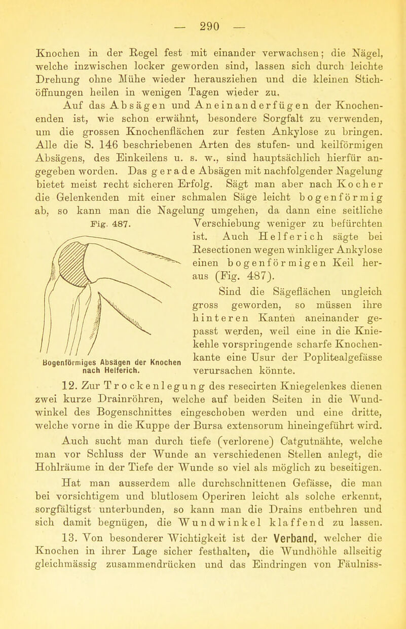 ab Knochen in der B,egel fest mit einander verwachsen; die Nägel, welche inzwischen locker geworden sind, lassen sich durch leichte Drehung ohne Mühe wieder herausziehen und die kleinen Stich- öffnungen heilen in wenigen Tagen wieder zu. Auf das Absägen und Aneinanderfügen der Knochen- enden ist, wie schon erwähnt, besondere Sorgfalt zu verwenden, um die grossen Knochenflächen zur festen Ankylose zu bringen. Alle die S. 146 beschriebenen Arten des stufen- und keilförmigen Absägens, des Einkeilens u. s. w., sind hauptsächlich hierfür an- gegeben worden. Das gerade Absägen mit nachfolgender Nagelung bietet meist recht sicheren Erfolg. Sägt man aber nach Kocher die Gelenkenden mit einer schmalen Säge leicht bogenförmig so kann man die Nagelung umgehen, da dann eine seitliche Fig. 487. Verschiebung weniger zu befürchten ist. Auch Helferich sägte bei Kesectionen wegen winkliger Ankylose einen bogenförmigen Keil her- aus (Fig. 487). Sind die Sägeflächen ungleich gross geworden, so müssen ihre hinteren Kanten aneinander ge- passt werden, weil eine in die Knie- kehle vorspringende scharfe Knochen- kante eine Usur der Poplitealgefässe verursachen könnte. 12. Zur Trockenlegung des resecirten Kniegelenkes dienen zwei kurze Drainröhren, welche auf beiden Seiten in die Wund- winkel des Bogenschnittes eingeschoben werden und eine dritte, welche vorne in die Kuppe der Bursa extensorum hineingeführt wird. Auch sucht man durch tiefe (verlorene) Catgutnähte, welche man vor Schluss der Wunde an verschiedenen Stellen anlegt, die Hohlräume in der Tiefe der Wunde so viel als möglich zu beseitigen. Hat man ausserdem alle durchschnittenen Gefässe, die man bei vorsichtigem und blutlosem Operiren leicht als solche erkennt, sorgfältigst unterbunden, so kann man die Drains entbehren und sich damit begnügen, die W u n d w i n k e 1 klaffend zu lassen. 13. Von besonderer Wichtigkeit ist der Verband, welcher die Knochen in ihrer Lage sicher festhalten, die AVundliöhle allseitig gleichraässig zusammendrücken und das Eindringen von Fäulniss- Bogenförmiges Absägen der Knochen nach Helferich.