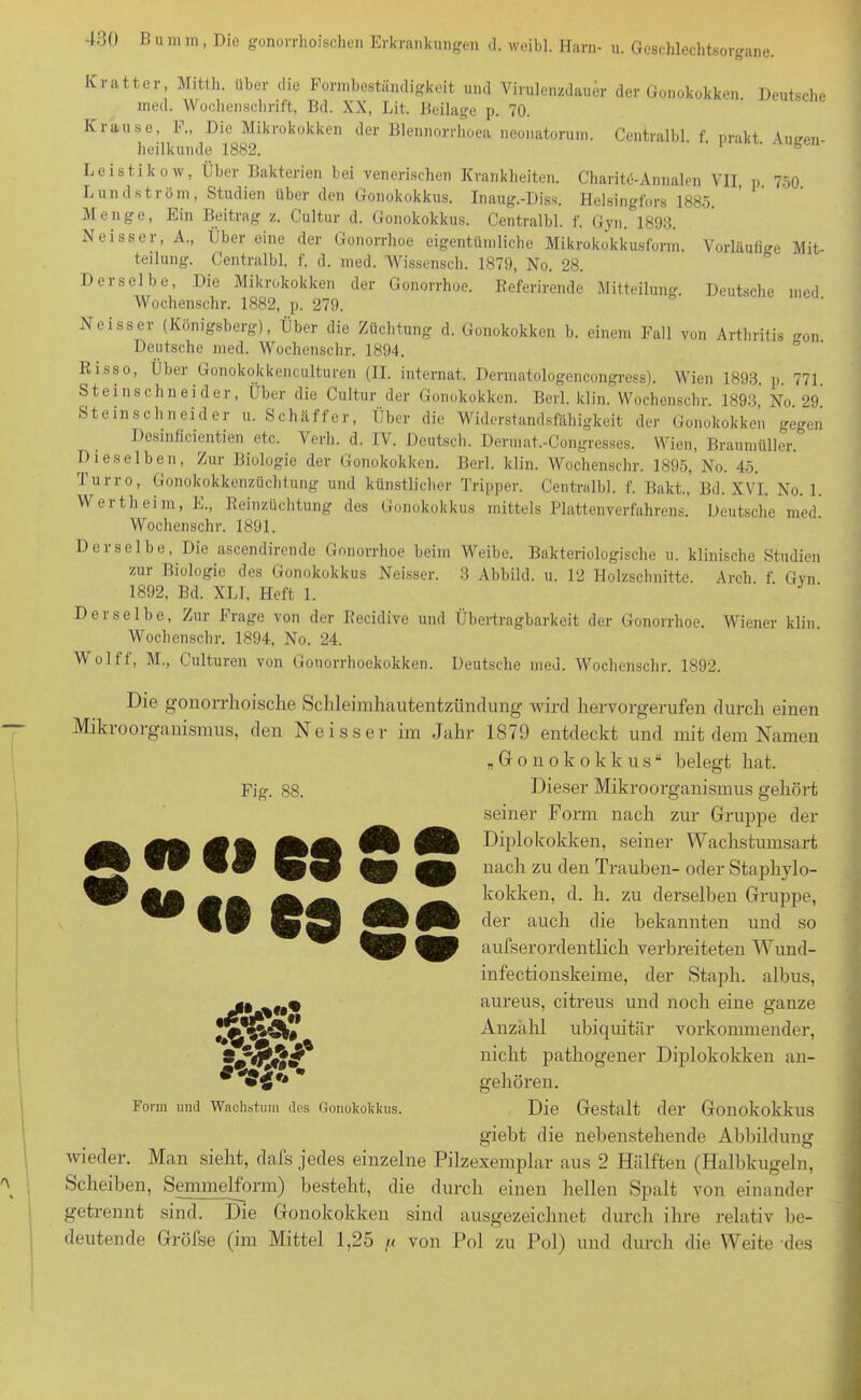 Vorläufige Mit- Deutsche ined. Kratter, Mitth. über die Formbeständigkeit und Virulenzdauer der Gonokokken. Deutsche med. Wochenschrift, Bd. XX, Lit. Beilage p. 70. Krause, F., Die Mikrokokken der Blennorrhoea neonatorum. Centralbl. f. prakt Wen- heilkunde 1882. 1 ° Leistikow, Über Bakterien bei venerischen Krankheiten. Charitg-Annalen VII, p. 750. Lund ström, Studien über den Gonokokkus. Inaug.-Diss. Helsingfors 1885. Menge, Ein Beitrag z. Cultur d. Gonokokkus. Centralbl. f. Gyn. 1898. Neisser, A., Über eine der Gonorrhoe eigentümliche Mikrokokkusform. teilung. Centralbl. t. d. med. Wissensch. 1879, No. 28. Dei selbe, Die Mikrokokken der Gonorrhoe. Referirende Mitteilung. Wochenschr. 1882, p. 279. Neisser (Königsberg), Über die Züchtung d. Gonokokken b. einem Fall von Arthritis <-on Deutsche med. Wochenschr. 1894. Risso, Über Gonokokkenculturen (II. internat. Dermatologencongress). Wien 1893, p. 771. Steinschneider, Über die Cultur der Gonokokken. Berl. klin. Wochenschr. 1893, No. 29. Steinschneider u. Schäffer, Über die Widerstandsfähigkeit der Gonokokken gegen Desinficientien etc. Verh. d. IV. Deutsch. Dermat.-Congresses. Wien, Braumüller. Dieselben, Zur Biologie der Gonokokken. Berl. klin. Wochenschr. 1895, No. 45. I’urro, Gonokokkenzüchtung und künstlicher Tripper. Centralbl. f. Bakt., Bd. XVI. No. 1. Wertheim, E., Reinzüchtung des Gonokokkus mittels Plattenverfahrens. Deutsche med. Wochenschr. 1891. Derselbe, Die ascendirende Gonorrhoe beim Weibe. Bakteriologische u. klinische Studien zur Biologie des Gonokokkus Neisser. 3 Abbild, u. 12 Holzschnitte. Arch f Gvn 1892, Bd. XL1, Heft 1. Derselbe, Zur Frage von der Recidive und Übertragbarkeit der Gonorrhoe. Wiener klin. Wochenschr. 1894, No. 24. Wollt, M., Culturen von Gonorrhoekokken. Deutsche med. Wochenschr. 1892. Die gonorrhoische Schleimhautentzündung wird hervorgerufen durch einen Mikroorganismus, den Neisser im Jahr 1879 entdeckt und mit dem Namen „Gonokokkus“ belegt hat. Dieser Mikroorganismus gehört seiner Form nach zur Gruppe der Diplokokken, seiner Wachstumsart nach zu den Trauben- oder Staphylo- kokken, d. h. zu derselben Gruppe, der auch die bekannten und so aufserordentlich verbreiteten Wund- infectionskeime, der Staph. albus, aureus, citreus und noch eine ganze Anzahl ubiquitär vorkommender, nicht pathogener Diplokokken an- Fig. 88. «oll G3 *« es •&sSr Form und Wachstum des Gonokokkus. gehören. Die Gestalt der Gonokokkus giebt die nebenstehende Abbildung wieder. Man sieht, dafs jedes einzelne Pilzexeniplar aus 2 Hälften (Halbkugeln, Scheiben, Semmelform) besteht, die durch einen hellen Spalt von einander getrennt sind. Die Gonokokken sind ausgezeichnet durch ihre relativ be- deutende Gröfse (im Mittel 1,25 p von Pol zu Pol) und durch die Weite des
