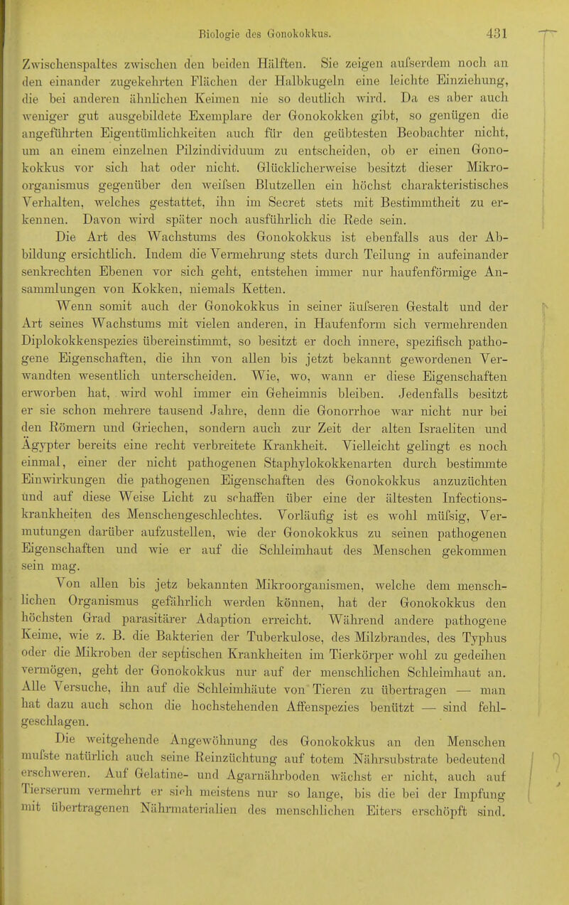 Zwischenspaltes zwischen den beiden Hälften. Sie zeigen aufserdem noch an den einander zugekehrten Flächen der Halbkugeln eine leichte Einziehung, die bei anderen ähnlichen Keimen nie so deutlich wird. Da es aber auch weniger gut ausgebildete Exemplare der Gonokokken gibt, so genügen die angeführten Eigentümlichkeiten auch für den geübtesten Beobachter nicht, um an einem einzelnen Pilzindividuum zu entscheiden, ob er einen Gono- kokkus vor sich hat oder nicht. Glücklicherweise besitzt dieser Mikro- organismus gegenüber den weifsen Blutzellen ein höchst charakteristisches Verhalten, welches gestattet, ihn im Secret stets mit Bestimmtheit zu er- kennen. Davon wird später noch ausführlich die Rede sein. Die Art des Wachstums des Gonokokkus ist ebenfalls aus der Ab- bildung ersichtlich. Indem die Vermehrung stets durch Teilung in aufeinander senkrechten Ebenen vor sich geht, entstehen immer nur haufenförmige An- sammlungen von Kokken, niemals Ketten. Wenn somit auch der Gonokokkus in seiner äufseren Gestalt und der Art seines Wachstums mit vielen anderen, in Haufenform sich vermehrenden Diplokokkenspezies übereinstimmt, so besitzt er doch innere, spezifisch patho- gene Eigenschaften, die ihn von allen bis jetzt bekannt gewordenen Ver- wandten wesentlich unterscheiden. Wie, wo, wann er diese Eigenschaften erworben hat, wird wohl immer ein Geheimnis bleiben. Jedenfalls besitzt er sie schon mehrere tausend Jahre, denn die Gonorrhoe Avar nicht nur bei den Römern und Griechen, sondern auch zur Zeit der alten Israeliten und Ägypter bereits eine recht verbreitete Krankheit. Vielleicht gelingt es noch einmal, einer der nicht pathogenen Staphylokokkenarten durch bestimmte Einwirkungen die pathogenen Eigenschaften des Gonokokkus anzuzüchten und auf diese Weise Licht zu schaffen über eine der ältesten Infections- krankheiten des Menschengeschlechtes. Vorläufig ist es wohl müfsig, Ver- mutungen darüber aufzustellen, wie der Gonokokkus zu seinen pathogenen Eigenschaften und wie er auf die Schleimhaut des Menschen gekommen sein mag. Von allen bis jetz bekannten Mikroorganismen, Avelche dem mensch- lichen Organismus gefährlich werden können, hat der Gonokokkus den höchsten Grad parasitärer Adaption erreicht. Während andere pathogene Keime, Avie z. B. die Bakterien der Tuberkulose, des Milzbrandes, des Typhus oder die Mikroben der septischen Krankheiten im Tierkörper Avohl zu gedeihen vermögen, geht der Gonokokkus nur auf der menschlichen Schleimhaut an. Alle V ersuche, ihn auf die Schleimhäute von Tieren zu übertragen — man hat dazu auch schon die hochstehenden Affenspezies benützt — sind fehl- geschlagen. Die weitgehende Angewöhnung des Gonokokkus an den Menschen mufste natürlich auch seine Reinzüchtung auf totem Nährsubstrate bedeutend erschweren. Auf Gelatine- und Agarnährboden wächst er nicht, auch auf Tierserum vermehrt er sich meistens nur so lange, bis die bei der Impfung mit übertragenen Nährmaterialien des menschlichen Eiters erschöpft sind.