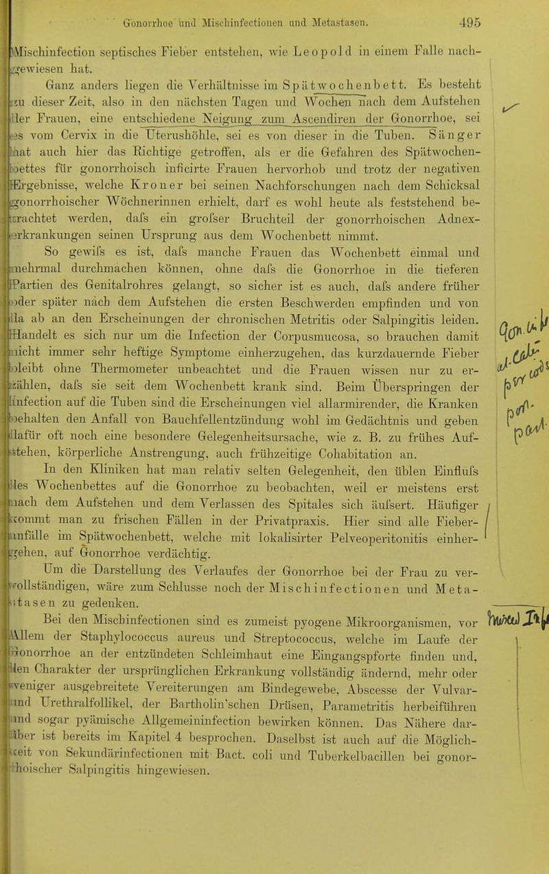 j Mischinfection septisches Fieber entstehen, wie Leopold in einem Falle nach- tgewiesen hat. Ganz anders liegen die Verhältnisse im Spät Wochenbett. Es besteht ?.iu dieser Zeit, also in den nächsten Tagen und Wochen nach dem Aufstehen der Frauen, eine entschiedene Neigung zum Ascendiren der Gonorrhoe, sei ■3S vom Cervix in che Uterushöhle, sei es von dieser in die Tuben. Sänger hat auch hier das Richtige getroffen, als er die Gefahren des Spiitwochen- oettes für gonorrhoisch inficirte Frauen hervorhob und trotz der negativen Ergebnisse, welche Krön er bei seinen Nachforschungen nach dem Schicksal gonorrhoischer Wöchnerinnen erhielt, darf es wohl heute als feststehend be- frachtet werden, dafs ein grofser Bruchteil der gonorrhoischen Adnex- erkrankungen seinen Ursprung aus dem Wochenbett nimmt. So gewifs es ist, dafs manche Frauen das Wochenbett einmal und [mehrmal durchmachen können, ohne dafs die Gonorrhoe in die tieferen Partien des Genitalrohres gelangt, so sicher ist es auch, dafs andere früher xler später nach dem Aufstehen die ersten Beschwerden empfinden und von ila ab an den Erscheinungen der chronischen Metritis oder Salpingitis leiden. Bandelt es sich nur um die Infection der Corpusmucosa, so brauchen damit ficht immer sehr heftige Symptome einherzugehen, das kurzdauernde Fieber ileibt ohne Thermometer unbeachtet und die Frauen wissen nur zu er- zählen, dafs sie seit dem Wochenbett krank sind. Beim Überspringen der infection auf die Tuben sind die Erscheinungen viel allarmirender, die Kranken oehalten den Anfall von Bauchfellentzündung wohl im Gedächtnis und geben dafür oft noch eine besondere Gelegenheitsursache, wie z. B. zu frühes Auf- sehen, körperliche Anstrengung, auch frühzeitige Cohabitation an. In den Kliniken hat man relativ selten Gelegenheit, den üblen Einflufs des Wochenbettes auf die Gonorrhoe zu beobachten, weil er meistens erst mach dem Aufstehen und dem Verlassen des Spitales sich äufsert. Häufiger icpmmt man zu frischen Fällen in der Privatpraxis. Hier sind alle Fieber- j Unfälle im Spätwochenbett, welche mit lokalisirter Pelveoperitonitis einher- gehen. auf Gonorrhoe verdächtig. Um die Darstellung des Verlaufes der Gonorrhoe bei der Frau zu ver- vollständigen, wäre zum Schlüsse noch der Misehinfectionen und Meta- stasen zu gedenken. Bei den Misehinfectionen sind es zumeist pyogene Mikroorganismen, vor Allem der Staphylococcus aureus und Streptococcus, welche im Laufe der Gonorrhoe an der entzündeten Schleimhaut eine Eingangspforte finden und, den Charakter der ursprünglichen Erkrankung vollständig ändernd, mehr oder weniger ausgebreitete Vereiterungen am Bindegewebe, Abscesse der Vulvar- und Urethralfollikel, der Bartholinrichen Drüsen, Parametritis herbeifuhren md sogar pyämische Allgemeininfection bewirken können. Das Nähere dar- über ist bereits im Kapitel 4 besprochen. Daselbst ist auch auf die Möglich- keit von Sekundärinfectionen mit Bact. coli und Tuberkelbacillen bei gonor- hoischer Salpingitis hingewiesen.