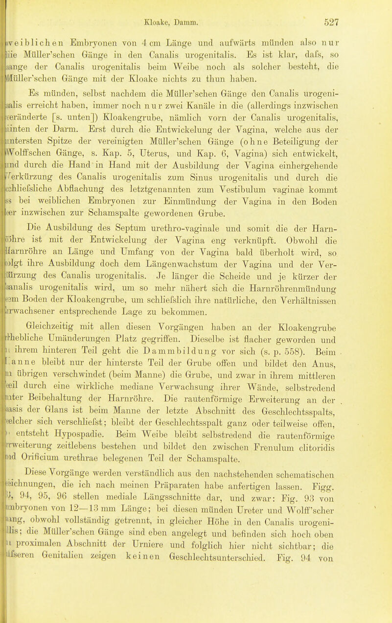 weiblichen Embryonen von 4cm Länge und aufwärts münden also nur liie Müller’schen Gänge in den Canalis urogenitalis. Es ist klar, dafs, so ;lange der Canalis urogenitalis beim Weibe noch als solcher besteht, die Müller’schen Gänge mit der Kloake nichts zu thun haben. Es münden, selbst nachdem die Müller’schen Gänge den Canalis urogeni- aalis erreicht haben, immer noch n u r zwei Kanäle in die (allerdings inzwischen veränderte [s. unten]) Kloakengrube, nämlich vorn der Canalis urogenitalis, uinten der Darm. Erst durch die Entwickelung der Vagina, welche aus der untersten Spitze der vereinigten Müller’schen Gänge (ohne Beteiligung der Wolffschen Gänge, s. Kap. 5, Uterus, und Kap. 6, Vagina) sich entwickelt, und durch die Hand in Hand mit der Ausbildung der Vagina einhergehende Verkürzung des Canalis urogenitalis zum Sinus urogenitalis und durch die ichliefsliche Abflachung des letztgenannten zum Vestibül um vaginae kommt S3 bei weiblichen Embryonen zur Einmündung der Vagina in den Boden eer inzwischen zur Schamspalte gewordenen Grube. 0 Die Ausbildung des Septum urethro-vaginale und somit die der Harn- öhre ist mit der Entwickelung der Vagina eng verknüpft. Obwohl die Harnröhre an Länge und Umfang von der Vagina bald überholt wird, so olgt ihre Ausbildung doch dem Längenwachstum der Vagina und der Ver- ßürzung des Canalis urogenitalis. Je länger die Scheide und je kürzer der iianalis urogenitalis wird, um so mehr nähert sich die Harnröhrenmündung i'3m Boden der Kloakengrube, um schliefslich ihre natürliche, den Verhältnissen [erwachsener entsprechende Lage zu bekommen. Gleichzeitig mit allen diesen Vorgängen haben an der Kloakengrube fhebliche Umänderungen Platz gegriffen. Dieselbe ist flacher geworden und i ihrem hinteren Teil geht die Dammbildung vor sich (s. p. 558). Beim anne bleibt nur der hinterste Teil der Grube offen und bildet den Anus, in übrigen verschwindet (beim Manne) die Grube, und zwar in ihrem mittleren veil durch eine wirkliche mediane Verwachsung ihrer Wände, selbstredend inter Beibehaltung der Harnröhre. Die rautenförmige Erweiterung an der aasis der Glans ist beim Manne der letzte Abschnitt des Geschlechtsspalts, Melier sich verschliefst; bleibt der Geschlechtsspalt ganz oder teilweise offen,  entsteht Hypospadie. Beim Weibe bleibt selbstredend die rautenförmige rrweiterung zeitlebens bestehen und bildet den zwischen Frenulum clitoridis nd Orificium urethrae belegenen Teil der Schamspalte. Diese Vorgänge werden verständlich aus den nachstehenden schematischen Dehnungen, die ich nach meinen Präparaten habe anfertigen lassen. Figg. i, 94, 95, 96 stellen mediale Längsschnitte dar, und zwar: Fig. 93 von imbryonen von 12 13 nun Länge; bei diesen münden Ureter und Wolff’scher mg, obwohl vollständig getrennt, in gleicher Höhe in den Canalis urogeni- His; die Müller’schen Gänge sind eben angelegt und befinden sich hoch oben ■ i proximalen Abschnitt der Urniere und folglich hier nicht sichtbar; die itfseien Genitalien zeigen keinen Geschlechtsunterschied. Fig. 94 von