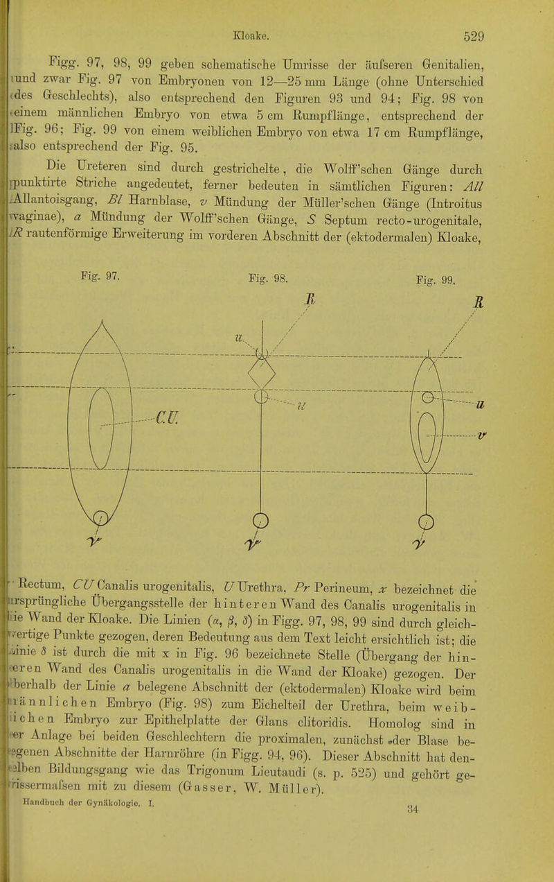 Figg. 97, 98, 99 geben schematische Umrisse der äufseren Genitalien, und zwar Fig\ 97 von Embryonen von 12—25 mm Länge (ohne Unterschied »des Geschlechts), also entsprechend den Figuren 93 und 94; Fig. 98 von (einem männlichen Embryo von etwa 5 cm Rumpflänge, entsprechend der IFig’. 96; Fig'. 99 von einem weiblichen Embryo von etwa 17 cm Rumpflänge, ;also entsprechend der Fig. 95. Die Ureteren sind durch gestrichelte, die Wolff’schen Gänge durch jpunktirte Striche angedeutet, ferner bedeuten in sämtlichen Figuren: All .Allant.oisgang, Bl Harnblase, v Mündung der Müller’schen Gänge (Introitus waginae), a Mündung der Wolff’schen Gänge, A Septum recto-urogenitale, :R rautenförmige Erweiterung im vorderen Abschnitt der (ektodermalen) Kloake, Fig. 97. Fig. 98. Fig. 99. Ä R Rectum, CU Canalis urogenitalis, U Urethra, Pr Perineum, x bezeichnet die ursprüngliche Übergangsstelle der hinteren Wand des Canalis urogenitalis in lle Wancl der Kloake. Die Linien («, ß, S) in Figg. 97, 98, 99 sind durch gleich- wertige Punkte gezogen, deren Bedeutung aus dem Text leicht ersichtlich ist; die “nie 5 ist durch die mit x in Fig. 96 bezeichnte Stelle (Übergang der Inn- eren Wand des Canalis urogenitalis in die Wand der Kloake) gezogen. Der 'Iberhalb der Linie a belegene Abschnitt der (ektodermalen) Kloake wird beim männlichen Embryo (Fig. 98) zum Eichelteil der Urethra, beim w e i b - ichen Embryo zur Epithelplatte der Glans clitoridis. Homolog sind in er Anlage bei beiden Geschlechtern die proximalen, zunächst .der Blase be- ägenen Abschnitte der Harnröhre (in Figg. 94, 96). Dieser Abschnitt hat den- selben Bildungsgang wie das Trigonum Lieutaudi (s. p. 525) und gehört ge- rissermafsen mit zu diesem (Gasser, W. Müller). Handbuch der Gynäkologie. I.