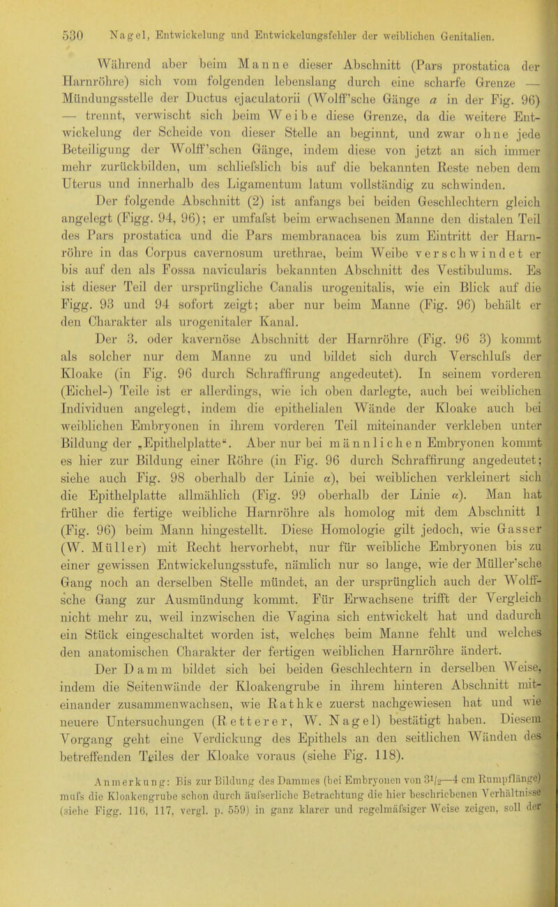 Während aber beim Manne dieser Abschnitt (Pars prostatica der Harnröhre) sich vom folgenden lebenslang durch eine scharfe Grenze — Mündungsstelle der Ductus ejaculatorii (Wolff’sche Gänge a in der Fig. 96) — trennt, verwischt sich beim Weibe diese Grenze, da die weitere Ent- wickelung der Scheide von dieser Stelle an beginnt, und zwar ohne jede Beteiligung der Wolff’schen Gänge, indem diese von jetzt an sich immer mehr zurückbilden, um schliefslich bis auf die bekannten Reste neben dem Uterus und innerhalb des Ligamentum latum vollständig zu schwinden. Der folgende Abschnitt (2) ist anfangs bei beiden Geschlechtern gleich angelegt (Figg. 94, 96); er umfafst beim erwachsenen Manne den distalen Teil des Pars prostatica und die Pars membranacea bis zum Eintritt der Harn- röhre in das Corpus cavernosum uretlirae, beim Weibe verschwindet er bis auf den als Fossa navicularis bekannten Abschnitt des Vestibulums. Es ist dieser Teil der ursprüngliche Canalis urogenitalis, wie ein Blick auf die Figg. 93 und 94 sofort zeigt; aber nur beim Manne (Fig. 96) behält er den Charakter als urogenitaler Kanal. Der 3. oder kavernöse Abschnitt der Harnröhre (Fig. 96 3) kommt als solcher nur dem Manne zu und bildet sich durch Verschlufs der Kloake (in Fig. 96 durch Schraffirung angedeutet). In seinem vorderen (Eichel-) Teile ist er allerdings, wie ich oben darlegte, auch bei weiblichen Individuen angelegt, indem die epithelialen Wände der Kloake auch bei weiblichen Embryonen in ihrem vorderen Teil miteinander verkleben unter Bildung der „Epithelplatte“. Aber nur bei männlichen Embryonen kommt es hier zur Bildung einer Röhre (in Fig. 96 durch Schraffirung angedeutet; siehe auch Fig. 98 oberhalb der Linie a), bei weiblichen verkleinert sich die Epithelplatte allmählich (Fig. 99 oberhalb der Linie «). Man hat früher die fertige weibliche Harnröhre als homolog mit dem Abschnitt 1 (Fig. 96) beim Mann hingestellt. Diese Homologie gilt jedoch, wie Gasser (W. Müller) mit Recht hervorhebt, nur für weibliche Embryonen bis zu einer gewissen Entwickelungsstufe, nämlich nur so lange, wie der Müller'sche Gang noch an derselben Stelle mündet, an der ursprünglich auch der V olff- sche Gang zur Ausmündung kommt. Für Erwachsene trifft der Vergleich nicht mehr zu, weil inzwischen die Vagina sich entwickelt hat und dadurch ein Stück eingeschaltet worden ist, welches beim Manne fehlt und welches den anatomischen Charakter der fertigen weiblichen Harnröhre ändert. Der I) a m m bildet sich bei beiden Geschlechtern in derselben Weise, indem die Seitenwände der Kloakengrube in ihrem hinteren Abschnitt mit- einander zusammenwachsen, wie Ratlike zuerst nachgewiesen hat und wie neuere Untersuchungen (Retterer, W. Nagel) bestätigt haben. Diesem Vorgang geht eine Verdickung des Epithels an den seitlichen Wänden des betreffenden Teiles der Kloake voraus (siehe Fig. 118). Anmerkung: Bis zur Bildung des Dammes (hei Embryonen von 31/*—4 em Rumpflange) mufs die Kloakengrube schon durch äufserliche Betrachtung die hier beschriebenen Verhältnisse (siebe Figg. 116, 117, vergl. p. 559) in ganz klarer und regelmäfsiger Weise zeigen, soll der