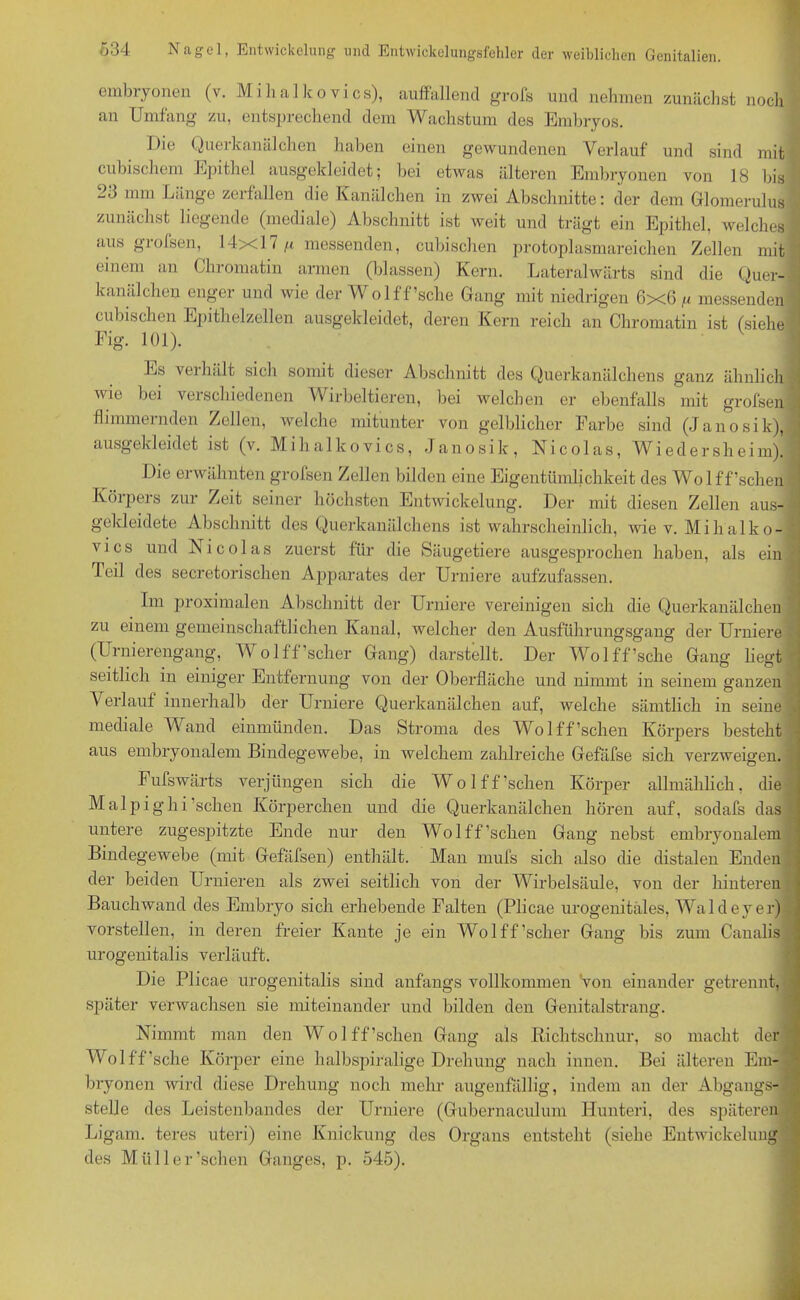 embiyonen (v. M i h a I lc o v i c s), auffallend grofs und nehmen zunächst noch an Umfang zu, entsprechend dem Wachstum des Embryos. Die Querkanälchen haben einen gewundenen Verlauf und sind mit cubischem Epithel ausgekleidet; bei etwas älteren Embryonen von 18 bis ’ 23 mm Länge zerfallen die Kanälchen in zwei Abschnitte: der dem Glomerulus zunächst liegende (mediale) Abschnitt ist weit und trägt ein Epithel, welches J aus grofsen, 14x17 p messenden, cubischen protoplasmareichen Zellen mit einem an Chromatin armen (blassen) Kern. Lateral wärts sind die Quer-fl kanälchen enger und wie der Wolf ffsehe Gang mit niedrigen 6x6 n messenden cubischen Epithelzellen ausgekleidet, deren Kern reich an Chromatin ist (siehe Fig. 101). Es verhält sich somit dieser Abschnitt des Querkanälchens ganz ähnlich wie bei verschiedenen Wirbeltieren, bei welchen er ebenfalls mit grofsen flimmernden Zellen, welche mitunter von gelblicher Farbe sind (Janosik), ausgekleidet ist (v. Mihalkovics, .Janosik, Nicolas, Wffedersheim). Die erwähnten grofsen Zellen bilden eine Eigentümlichkeit des Wolff’schen Körpers zur Zeit seiner höchsten Entwickelung. Der mit diesen Zellen aus gekleidete Abschnitt des Querkanälchens ist wahrscheinlich, wie v. Mihalko- vics und Nicolas zuerst für die Säugetiere ausgesprochen haben, als ein Teil des secretorischen Apparates der Urniere aufzufassen. Im proximalen Abschnitt der Urniere vereinigen sich die Querkanälchen zu einem gemeinschaftlichen Kanal, welcher den Ausführungsgang der Urniere (Urnierengang, Wolff’scher Gang) darstellt. Der Wolf ffsehe Gang liegt seitlich in einiger Entfernung von der Oberfläche und nimmt in seinem ganzen Verlauf innerhalb der Urniere Querkanälchen auf, welche sämtlich in seine mediale Wand einmünden. Das Stroma des Wolff’schen Körpers besteht aus embryonalem Bindegewebe, in welchem zahlreiche Gefäfse sich verzweigen. Fufswärts verjüngen sich die Wolff’schen Körper allmählich, die Malpighi’schen Körperchen und die Querkanälchen hören auf, sodafs das untere zugespitzte Ende nur den Wolff’schen Gang nebst embryonalem Bindegewebe (mit Gefäfsen) enthält. Man mufs sich also die distalen Enden der beiden Urnieren als zwei seitlich von der Wirbelsäule, von der hinteren Bauchwand des Embryo sich erhebende Falten (Plicae urogenitales, Wal dev er) vorstellen, in deren freier Kante je ein Wolff’scher Gang bis zum Canalis urogenitalis verläuft. Die Plicae urogenitalis sind anfangs vollkommen 'von einander getrennt, später verwachsen sie miteinander und bilden den Genitalstrang. Nimmt man den Wolff’schen Gang als Richtschnur, so macht der Wolff’sche Körper eine halbspiralige Drehung nach innen. Bei älteren Em- bryonen wird diese Drehung noch mehr augenfällig, indem an der Abgangs- stelle des Leistenbandes der Urniere (Gubernaculum Hunteri, des späteren Ligam. teres uteri) eine Knickung des Organs entsteht (siehe Entwickelung des Müller’schen Ganges, p. 545).