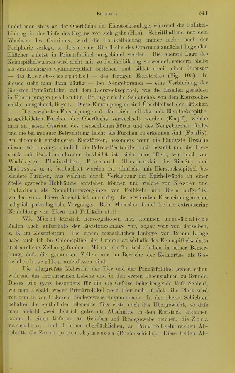 findet man stets an der Oberfläche der Eierstocksanlage, während die Follikel- bildung in der Tiefe des Organs vor sich geht (His). Schritthaltend mit dem Wachsen des Ovariums, wird die Follikelbildung immer mehr nach der Peripherie verlegt, so dafs die der Oberfläche des Ovariums zunächst liegenden Eifächer zuletzt in Primärfollikel umgebildet werden. Die oberste Lage des Keimepithelwulstes wird nicht mit zu Follikelbildung verwendet, sondern bleibt als einschichtiges Cylinderepithel bestehen und bildet somit einen Überzug — das Eierstocksepithel — des fertigen Eierstockes (Fig. 105). In diesem sieht man dann häufig — bei Neugeborenen — eine Verbindung der jüngsten Primärfollikel mit dem Eierstocksepithel, wie die Eizellen geradezu in Einstülpungen (Valentin-Pflüger’sche Schläuche), von dem Eierstocks- epithel ausgehend, liegen. Diese Einstülpungen sind Überbleibsel der Eifächer. Die erwähnten Einstülpungen dürfen nicht mit den mit Eierstocksepithel ausgekleideten Furchen der Oberfläche verwechselt werden (Kapf), welche man an jedem Ovarium des menschlichen Fötus und des Neugeborenen findet und die bei genauer Betrachtung leicht als Furchen zu erkennen sind (Foulis). An chronisch entzündeten Eierstöcken, besonders wenn die häufigste Ursache dieser Erkrankung, nämlich die Pelveo-Peritonitis noch besteht und der Eier- stock mit Pseudomembranen bekleidet ist, sieht man öfters, wie auch von Waldeyer, Fl ai sch len, Frommei, Slavjanski, de Sinety und Malassez u. a. beobachtet worden ist, ähnliche mit Eierstocksepithel be- kleidete Furchen, aus welchen durch Verklebung der Epithelwände an einer Stelle cystische Hohlräume entstehen können und welche von Koster und Paladino als Neubildungsvorgänge • von Follikeln und Eiern aufgefafst worden sind. Diese Ansicht ist unrichtig; die erwähnten Erscheinungen sind lediglich pathologische Vorgänge. Beim Menschen findet keine extrauterine Neubildung von Eiern und Follikeln statt. Wie Minot kürzlich hervorgehoben hat, kommen urei-ähnliche Zellen auch aufserhalb der Eierstocksanlage vor, sogar weit von derselben, z. B. im Mesenterium. Bei einem menschlichen Embryo von 12 mm Länge habe auch ich im Cölomepithel der Urniere aufserhalb des Keimepithelwulstes urei-ähnliche Zellen gefunden. Minot dürfte Recht haben in seiner Bemer- kung, dafs die genannten Zellen nur im Bereiche der Keimdrüse als Ge- schlechtszellen aufzufassen sind. Die allergröfste Mehrzahl der Eier und der Primäffollikel gehen schon während des intrauterinen Lebens und in den ersten Lebensjahren zu Grunde. Dieses gilt ganz besonders für die die Gefäfse beherbergende tiefe Schicht, wo man alsbald weder Primärfollikel noch Eier mehr findet: ihr Platz wird von nun an von lockerem Bindegewebe eingenommen. In den oberen Schichten behalten die epithelialen Elemente fürs erste noch das Übergewicht, so dafs man alsbald zwei deutlich getrennte Abschnitte in dem Eierstock erkennen kann: 1. einen tieferen, an Gefäfsen und Bindegewebe reichen, die Zona vasculosa, und 2. einen oberflächlichen, an Primärfollikeln reichen Ab- schnitt, die Zona parenchymatosa (Rindenschicht). Diese beiden Ab-