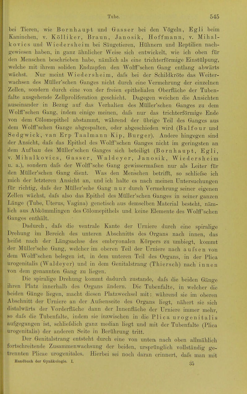 bei Tieren, wie Born h a u p t und Gasser bei den Yögeln, E g 1 i beim Kaninchen, v. Ivölliker, Braun, Janosik, Hoffmann, v. Mihal- kovics und Wieder sh eim bei Säugetieren, Hühnern und Reptilien nach- gewiesen haben, in ganz ähnlicher Weise sich entwickelt, wie ich oben für den Menschen beschrieben habe, nämlich als eine trichterförmige Einstülpung, welche mit ihrem soliden Endzapfen den Wolff’schen Gang entlang abwärts wächst. Nur meint Wied er sh eim, dafs bei der Schildkröte das Weiter- wachsen des Müller’schen Ganges nicht durch eine Vermehrung der einzelnen Zellen, sondern durch eine von der freien epithelialen Oberfläche der Tuben- falte ausgehende Zellproliferation geschieht. Dagegen weichen die Ansichten auseinander in Bezug auf das Verhalten des Müller’schen Ganges zu dem Wolff’schen Gang, indem einige meinen, dafs nur das trichterförmige Ende von dem Cölomepithel abstammt, während der übrige Teil des Ganges aus dem Wolff’schen Gange abgespalten, oder abgeschieden wird (Balfour und Sedgwick, van Erp Taalmann Kip, Burger). Andere hingegen sind der Ansicht, dafs das Epithel des Wolff’schen Ganges nicht im geringsten an dem Aufbau des Müller’schen Ganges sich beteiligt (Bornhaupt, Egli, v. Mihalkovics, Gasser, W a 1 d e y e r, Janosik, Wiede rsheim u. a.), sondern dafs der Wolff’sche Gang gewissermafsen nur als Leiter fin- den Müller’schen Gang dient. Was den Menschen betrifft, so schliefse ich mich der letzteren Ansicht an, und ich halte es nach meinen Untersuchungen für richtig, dafs der Müller’sche Gang nur durch Vermehrung seiner eigenen Zellen wächst, dafs also das Epithel des Müller’schen Ganges in seiner ganzen Länge (Tube, Uterus, Vagina) genetisch aus demselben Material besteht, näm- lich aus Abkömmlingen des Cölomepithels und keine Elemente des Wolff’schen Ganges enthält. Dadurch, dafs die ventrale Kante der Urniere durch eine spiralige Drehung im Bereich des unteren Abschnitts des Organs nach innen, das heifst nach der Längsachse des embryonalen Körpers zu umbiegt, kommt der Müller’sche Gang, welcher im oberen Teil der Urniere nach a u fs e n von dem Wolff'sehen belegen ist, in dem unteren Teil des Organs, in der Plica urogenitalis (Waldeyer) und in dem Genitalstrang (Thiersch) nach innen von dem genannten Gang zu liegen. Die spiralige Drehung kommt dadurch zustande, dafs die beiden Gänge ihren Platz innerhalb des Organs ändern. Die Tubenfalte, in welcher die beiden Gänge liegen, macht diesen Platzwechsel mit: während sie im oberen Abschnitt der Urniere an der Aufsenseite des Organs liegt, nähert sie sich distalwärts der Vorderfläche dann der Innenfläche der Urniere immer mehr, so dafs die Tubenfalte, indem sie inzwischen in die Plica urogenitalis aufgegangen ist, schliefslich ganz median liegt und mit der Tubenfalte (Plica urogenitalis) der anderen Seite in Berührung tritt. Der Genitalstrang entsteht durch eine von untern nach oben allmählich fortschreitende Zusammenwachsung der beiden, ursprünglich vollständig ge- trennten Plicae urogenitales. Hierbei sei noch daran erinnert, dafs man mit Handbuch der Gynäkologie. I. or
