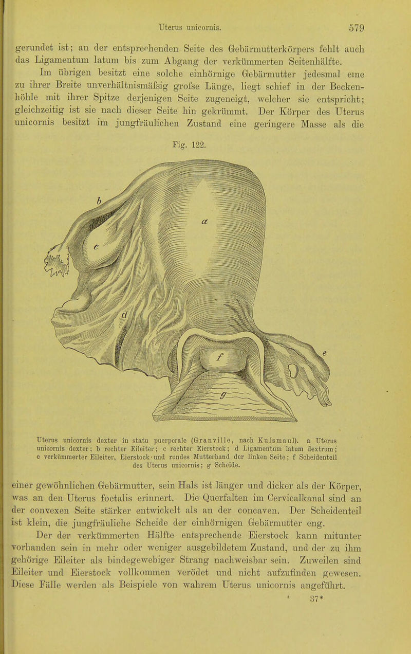 gerundet ist; an der entsprechenden Seite des Gebärmutterkörpers fehlt auch das Ligamentum latum bis zum Abgang der verkümmerten Seitenhälfte. Im übrigen besitzt eine solche einhörnige Gebärmutter jedesmal eine zu ihrer Breite unverhältnismäßig grofse Länge, liegt schief in der Becken- höhle mit ihrer Spitze derjenigen Seite zugeneigt, welcher sie entspricht; gleichzeitig ist sie nach dieser Seite hin gekrümmt. Der Körper des Uterus unicornis besitzt im jungfräulichen Zustand eine geringere Masse als die Fig. 122. Uterus unicornis dexter in statu puerperale (Granville, nach Kulsmaul). a Uterus unicornis dexter; b rechter Eileiter; c rechter Eierstock; d Ligamentum latum dextrum; e verkümmerter Eileiter, Eierstock'und rundes Mutterhand der linken Seite; f Scheidenteil des Uterus unicornis; g Scheide. einer gewöhnlichen Gebärmutter, sein Hals ist länger und dicker als der Körper, was an den Uterus foetalis erinnert. Die Querfalten im Cervicalkanal sind an der convexen Seite stärker entwickelt als an der concaven. Der Scheidenteil ist klein, die jungfräuliche Scheide der einhörnigen Gebärmutter eng. Der der verkümmerten Hälfte entsprechende Eierstock kann mitunter vorhanden sein in mehr oder weniger ausgebildetem Zustand, und der zu ihm gehörige Eileiter als bindegewebiger Strang nachweisbar sein. Zuweilen sind Eileiter und Eierstock vollkommen verödet und nicht aufzufinden gewesen. Diese Fälle werden als Beispiele von wahrem Uterus unicornis angeführt. ‘ 37*