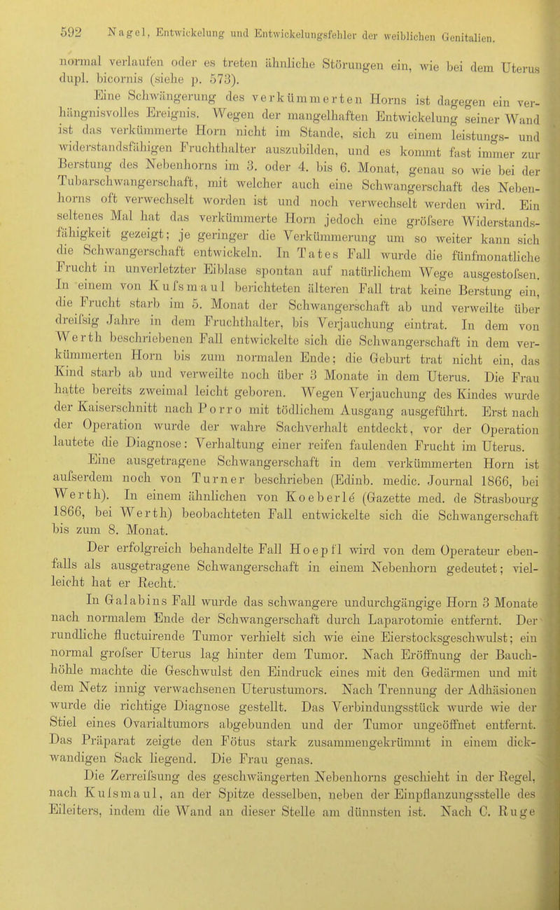 normal verlaufen oder es treten ähnliche Störungen ein, wie bei dem Uterus dupl. bicornis (siehe p. 573). Eine Schwängerung des verkümmerten Horns ist dagegen ein ver- hängnisvolles Ereignis. Wegen der mangelhaften Entwickelung seiner Wand ist das verkümmerte Horn nicht im Stande, sich zu einem leistungs- und wideistandsfähigen I1 ruchthalter auszubilden, und es kommt fast immer zur Beistung des Nebenhorns im 3. oder 4. bis 6. Monat, genau so wie bei der Tubarschwangerschaft, mit welcher auch eine Schwangerschaft des Neben- liorns oft verwechselt worden ist und noch verwechselt werden wird. Ein seltenes Mal hat das verkümmerte Horn jedoch eine gröfsere Widerstands- fähigkeit gezeigt; je geringer die Verkümmerung um so weiter kann sich die Schwangerschaft entwickeln. In Tat es Fall wurde die fünfmonatliche Frucht in unverletzter Eiblase spontan auf natürlichem Wege ausgestofsen. In einem von Kulsmaul berichteten älteren Fall trat keine Beratung ein, die Frucht starb im 5. Monat der Schwangerschaft ab und verweilte über dreifsig Jahre in dem Fruchthalter, Ins Verjauchung eintrat. In dem von Weith beschriebenen lall entwickelte sich die Schwangerschaft in dem ver- kiinnneiten Horn bis zum normalen Ende; die Geburt trat nicht ein, das Kmd starb ab und verweilte noch über 3 Monate in dem Uterus. Die Frau hatte bereits zweimal leicht geboren. Wegen Verjauchung des Kindes wurde der Kaiserschnitt nach Porro mit tödlichem Ausgang ausgeführt. Erst nach der Operation wurde der wahre Sachverhalt entdeckt, vor der Operation lautete die Diagnose: Verhaltung einer reifen faulenden Frucht im Uterus. PJne ausgetragene Schwangerschaft in dem verkümmerten Horn ist aufserdem noch von Turner beschrieben (Edinb. medic. Journal 1866, bei Weitli). In einem ähnlichen von Koeberle (Gazette med. de Strasbourg 1866, bei Werth) beobachteten Fall entwickelte sich die Schwangerschaft bis zum 8. Monat. Der erfolgreich behandelte Fall Hoepfl wird von dem Operateur eben- falls als ausgetragene Schwangerschaft in einem Nebenhorn gedeutet; viel- leicht hat er Recht. In Galabins Fall wurde das schwangere undurchgängige Horn 3 Monate nach normalem Ende der Schwangerschaft durch Laparotomie entfernt. Der' rundliche fluctuirende Tumor verhielt sich wie eine Eierstocksgeschwulst; ein normal grofser Uterus lag hinter dem Tumor. Nach Eröffnung der Bauch- höhle machte die Geschwulst den Eindruck eines mit den Gedärmen und mit dem Netz innig verwachsenen Uterustumors. Nach Trennung der Adhäsionen wurde die richtige Diagnose gestellt. Das Verbindungsstück wurde wie der Stiel eines Ovarialtumors abgebunden und der Tumor ungeöffnet entfernt. Das Präparat zeigte den Fötus stark zusammengekrümmt in einem dick- wandigen Sack liegend. Die Frau genas. Die Zerreifsung des geschwängerten Nebenhorns geschieht in der Regel, nach Kulsmaul, an der Spitze desselben, neben der Einpflanzungsstelle des Eileiters, indem die Wand an dieser Stelle am dünnsten ist. Nach C. Rüge